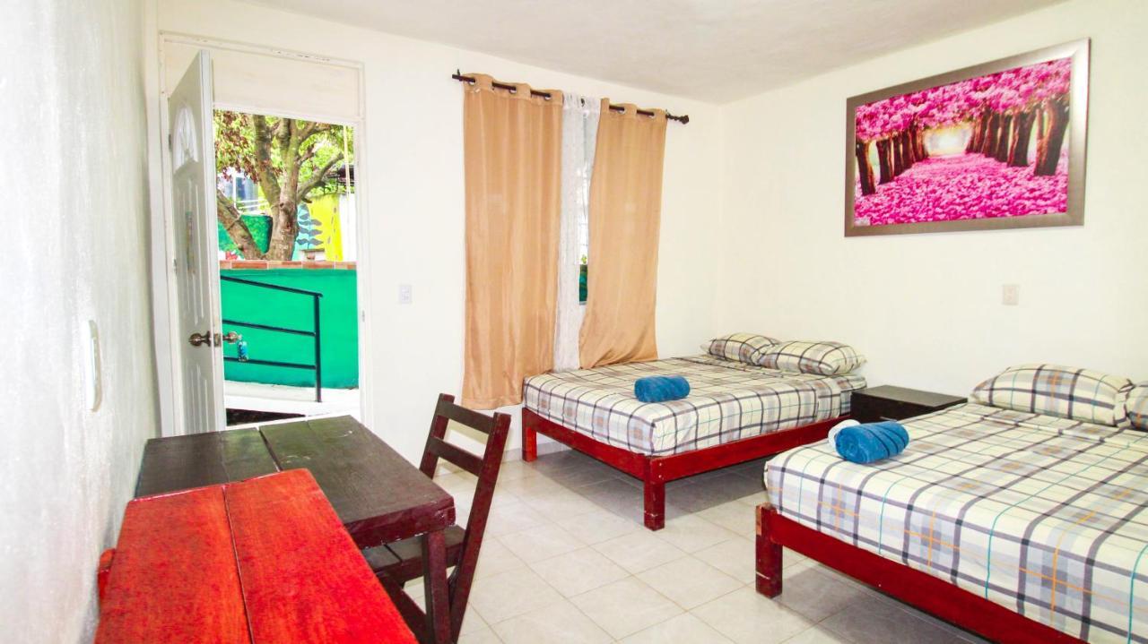 Vias Maya * Bacalar