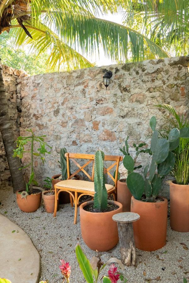 Lodge Casa Cactus Buenavista