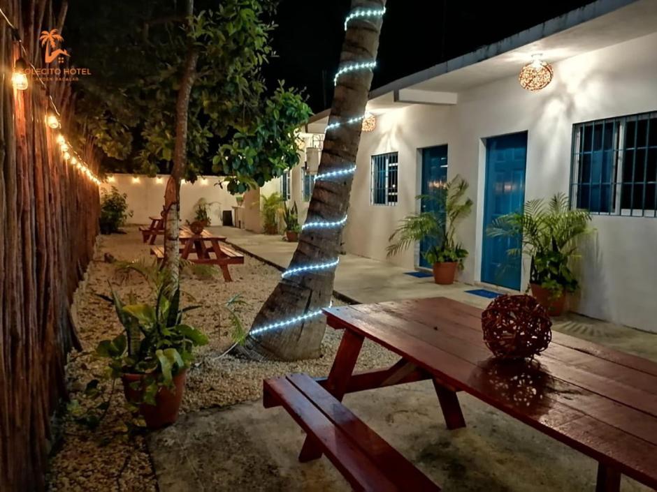 Solecito - Free Bikes And Paddles Bacalar