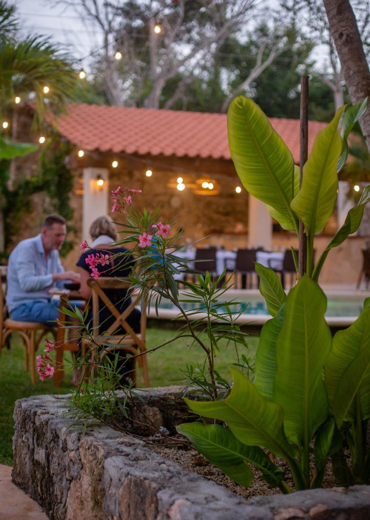 Lodge Casa Cactus Buenavista Bacalar