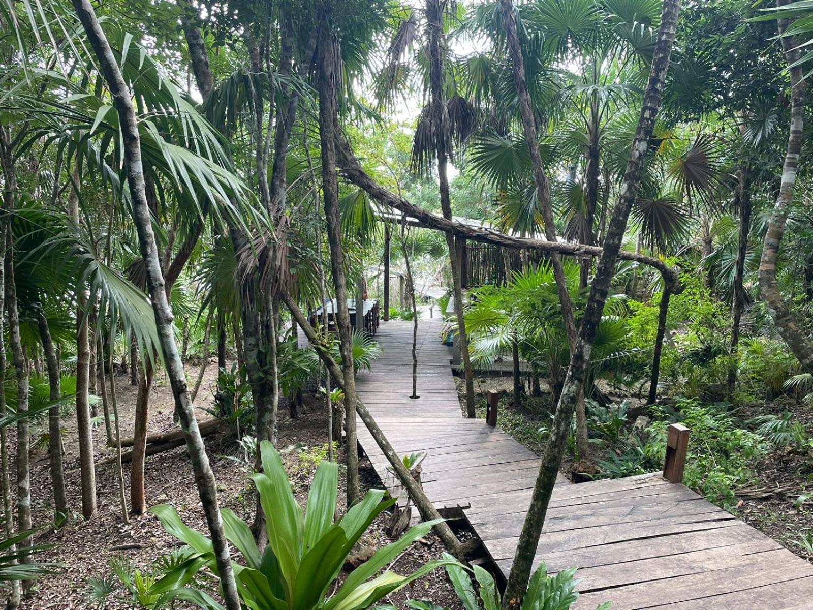 Ecostay Sukha- Ecologicas Frente A La Laguna Villa