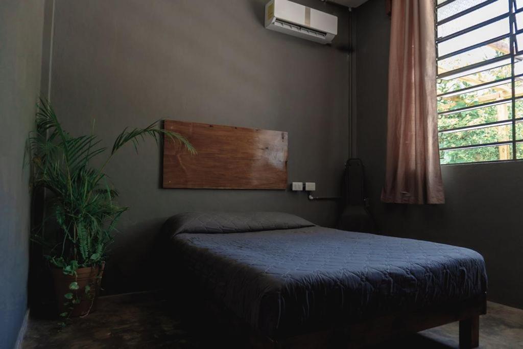 L2 Hostal *