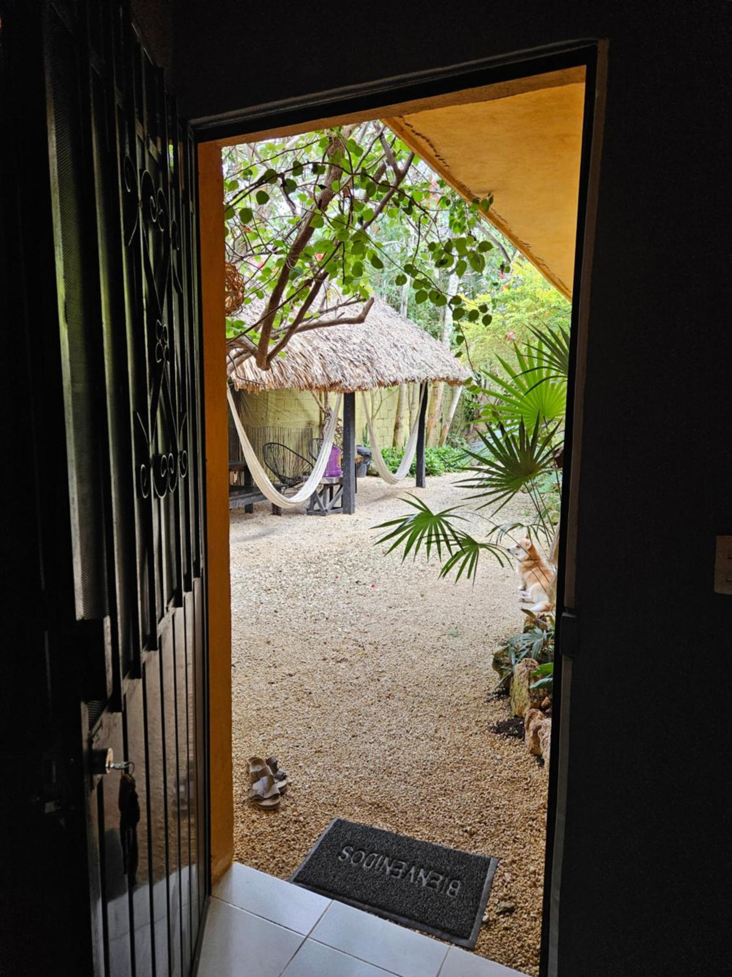 Apartamento Casa Venado, By Jungla Bacalar