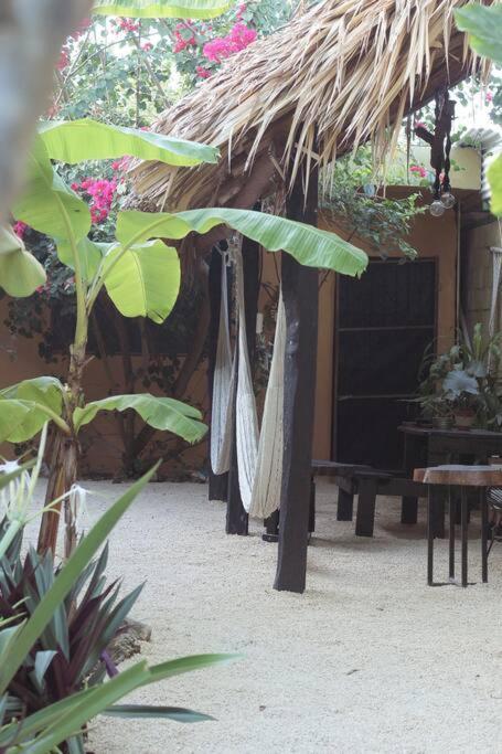 Apartamento Casa Venado, By Jungla Bacalar