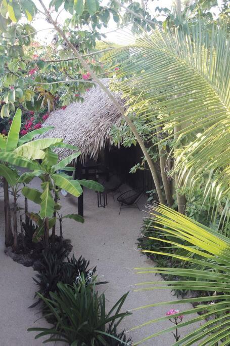 Apartamento Casa Venado, By Jungla