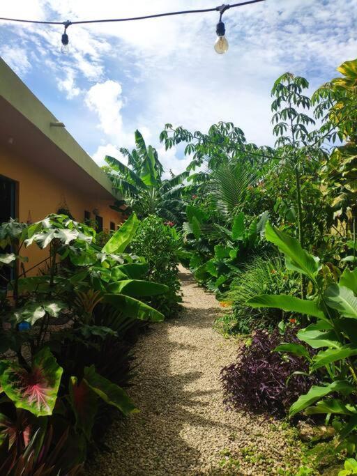 Casa Venado, By Jungla Apartamento Bacalar