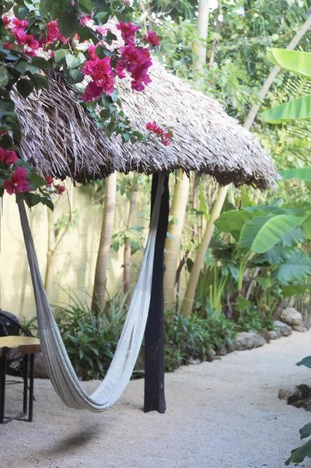 Casa Venado, By Jungla Bacalar