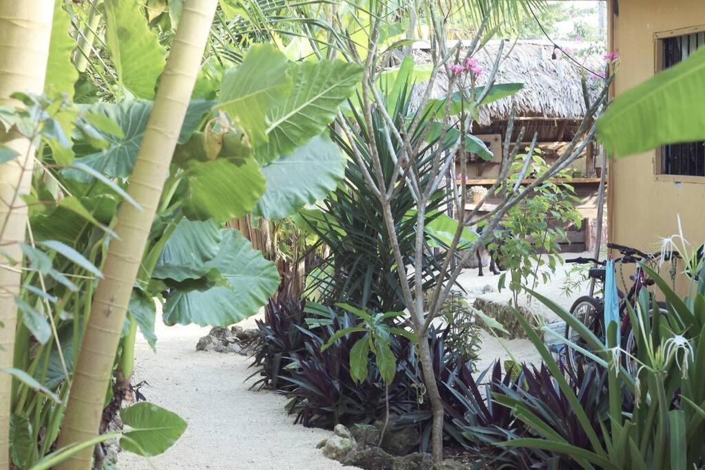Apartamento Casa Venado, By Jungla Bacalar