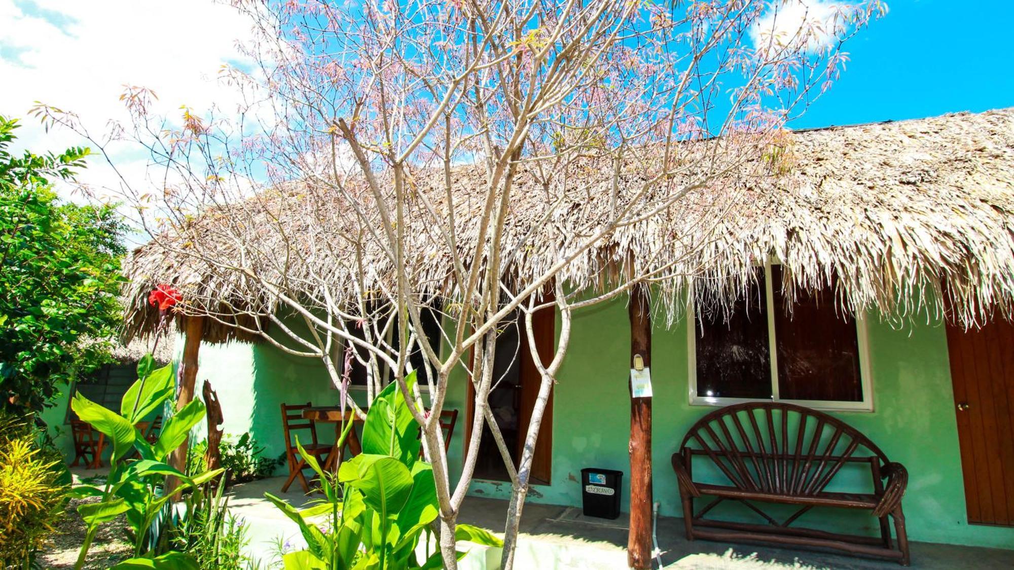 Palmas Bacalar