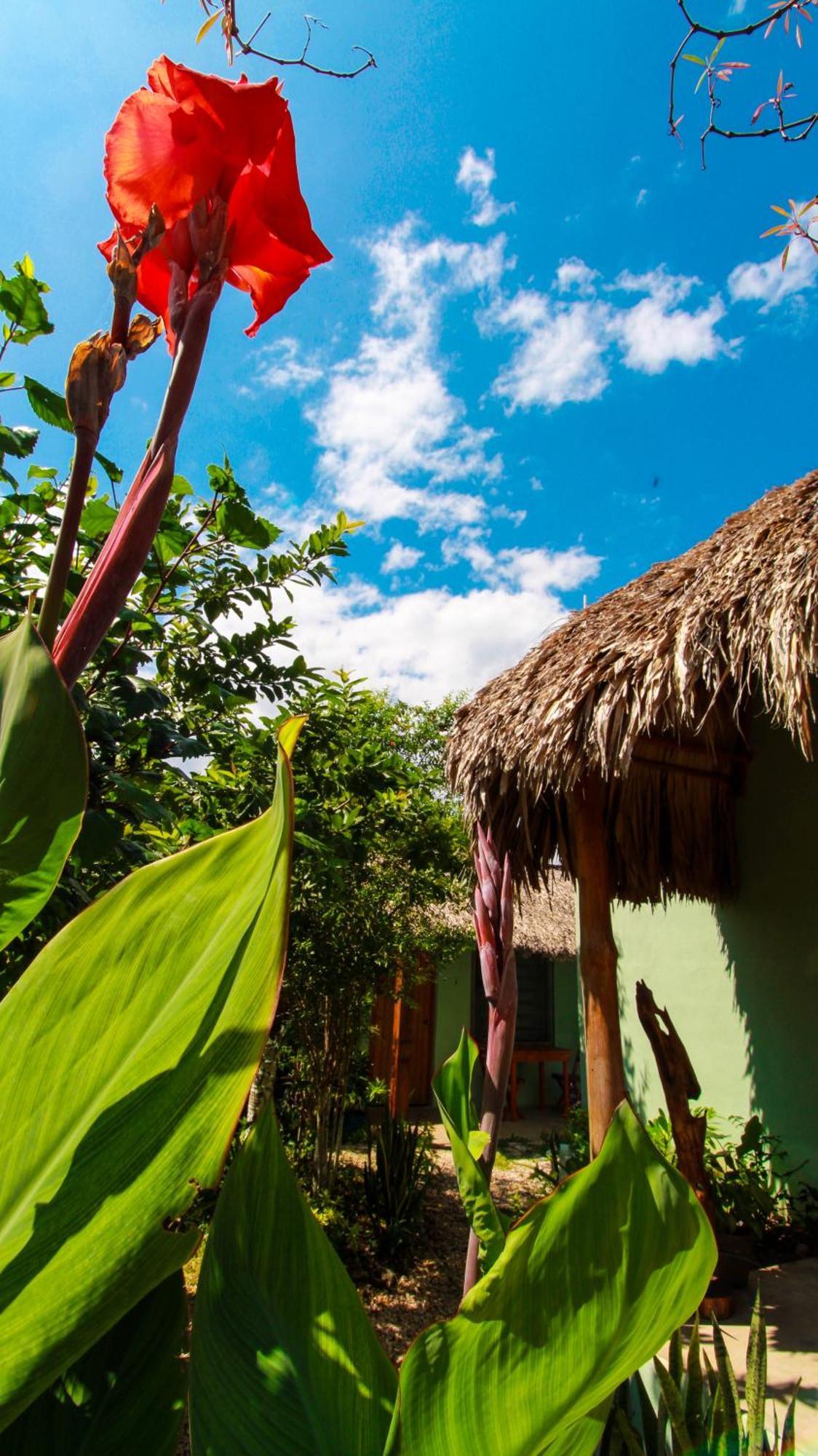 Palmas * Bacalar