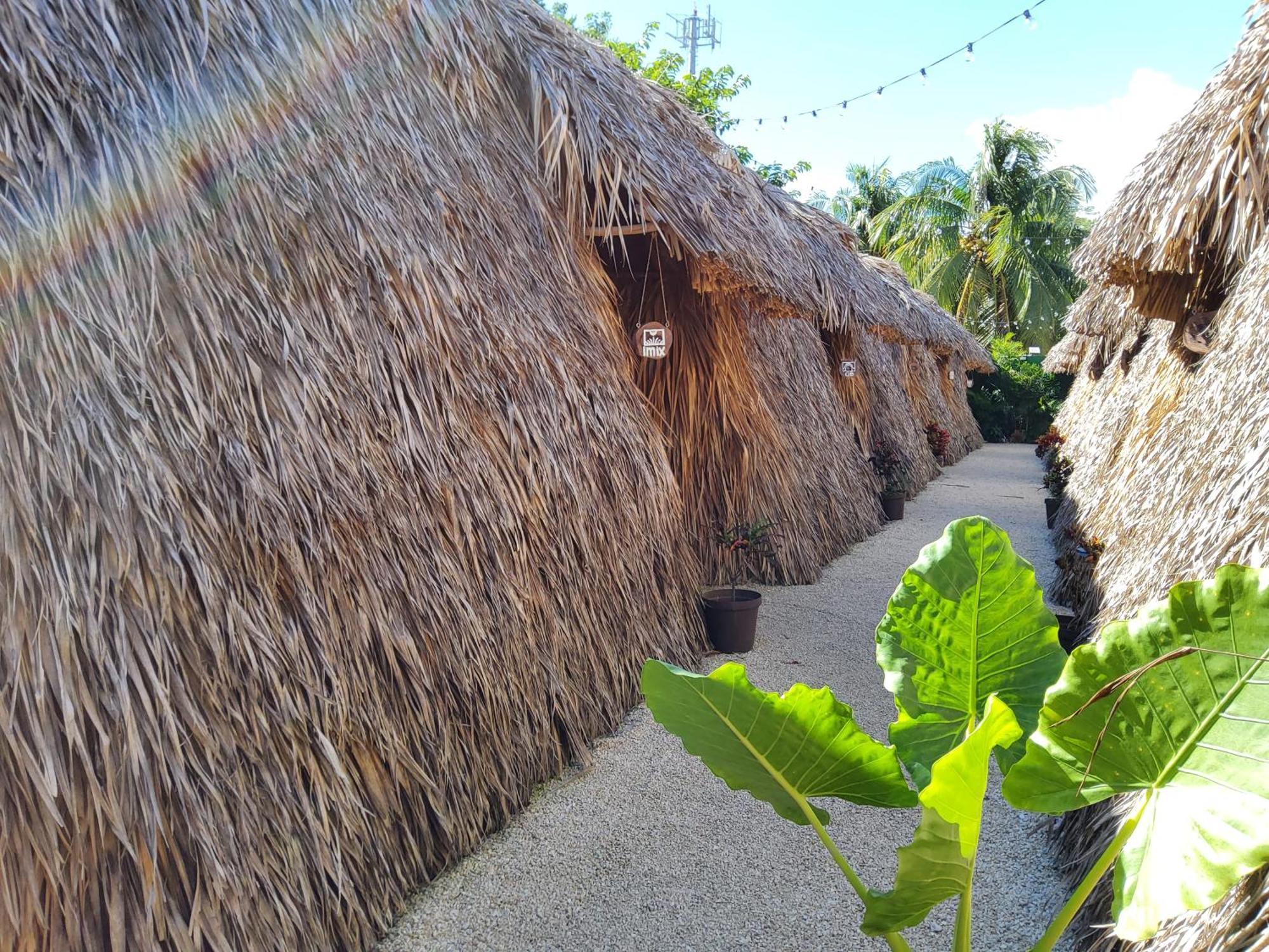 Campsite Hakuna Matata Glamping *