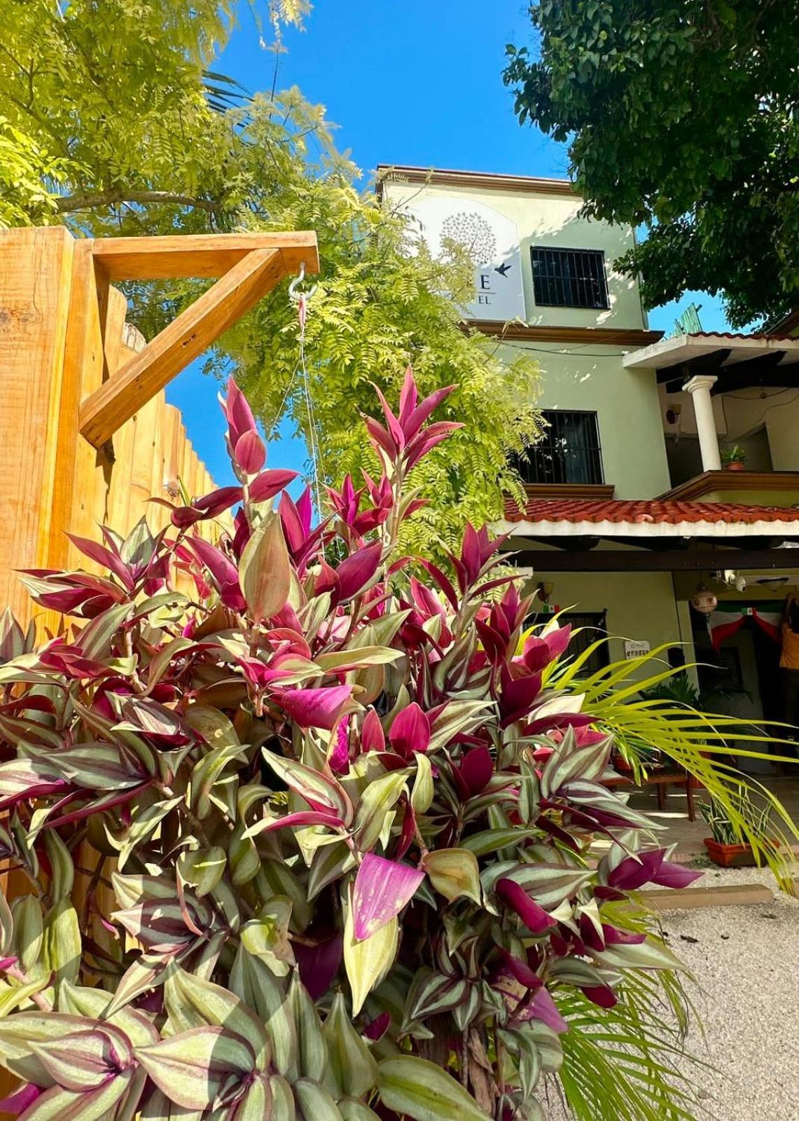 Hotel El Roble
