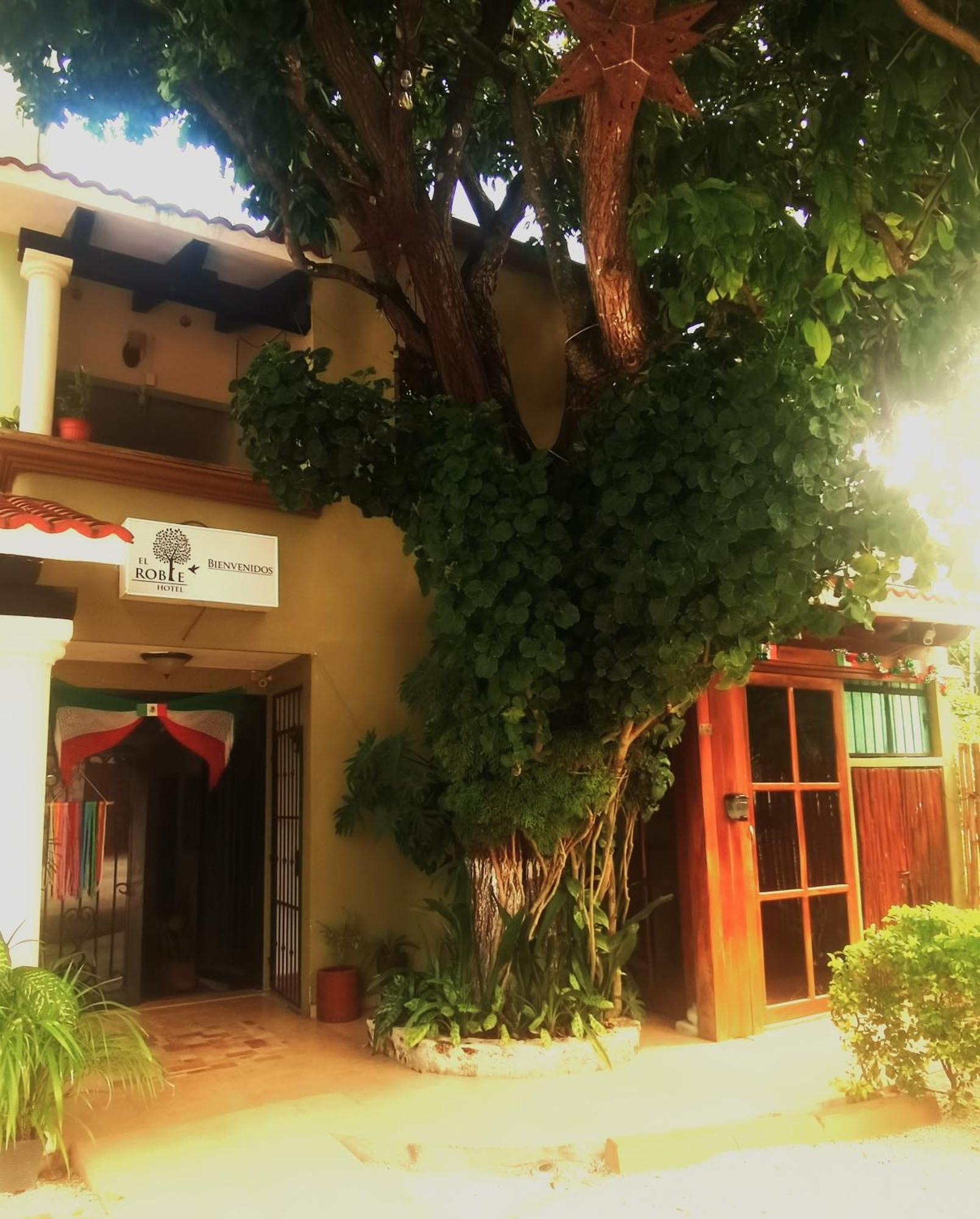 Hotel El Roble Bacalar