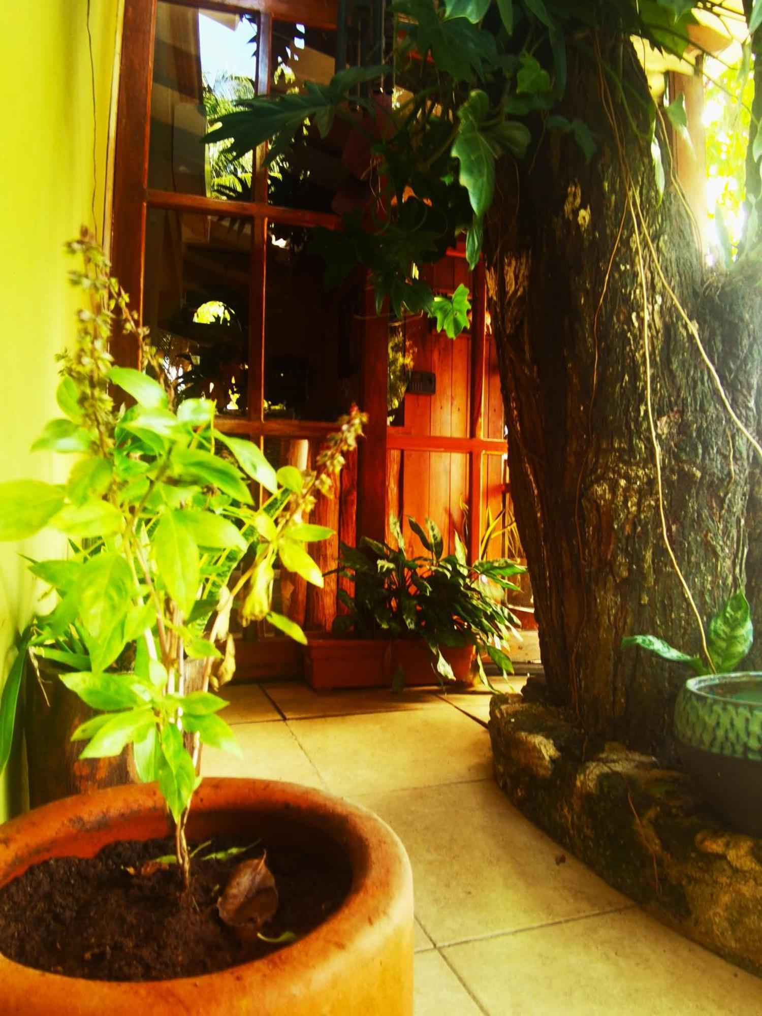 El Roble Bacalar