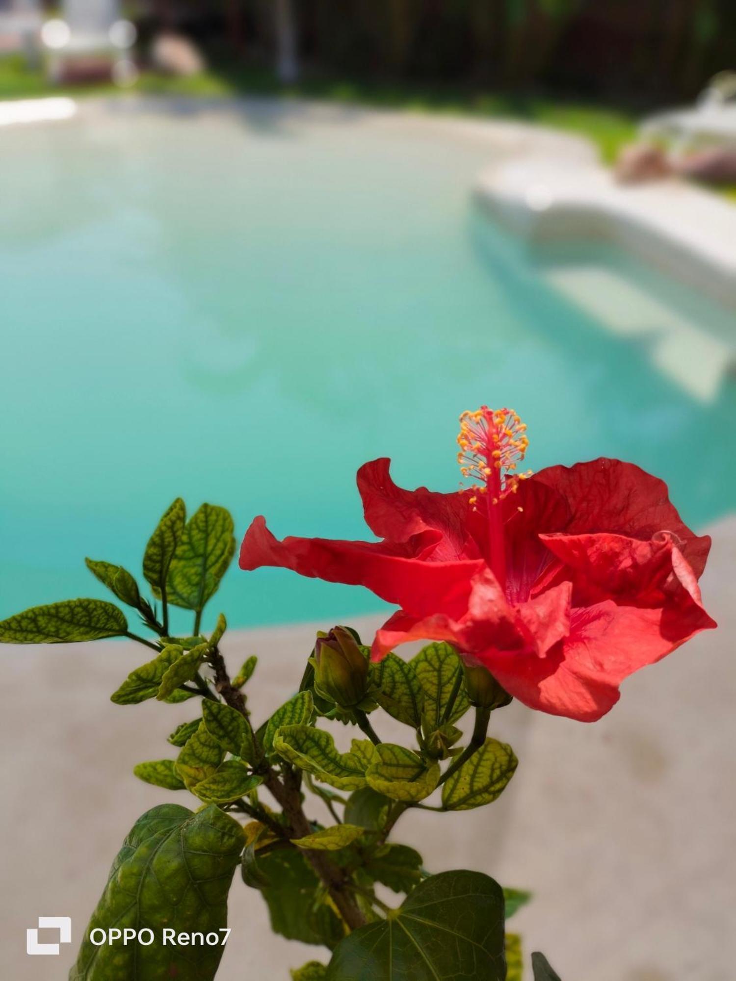 Bed and breakfast Teki-sha Home&suites