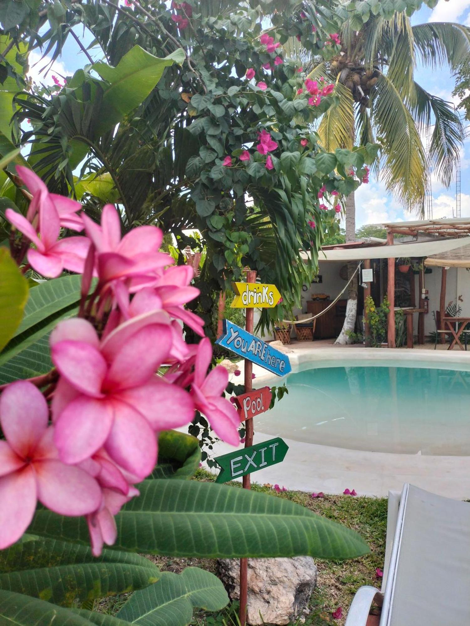 Teki-sha Home&suites Bed and breakfast Bacalar