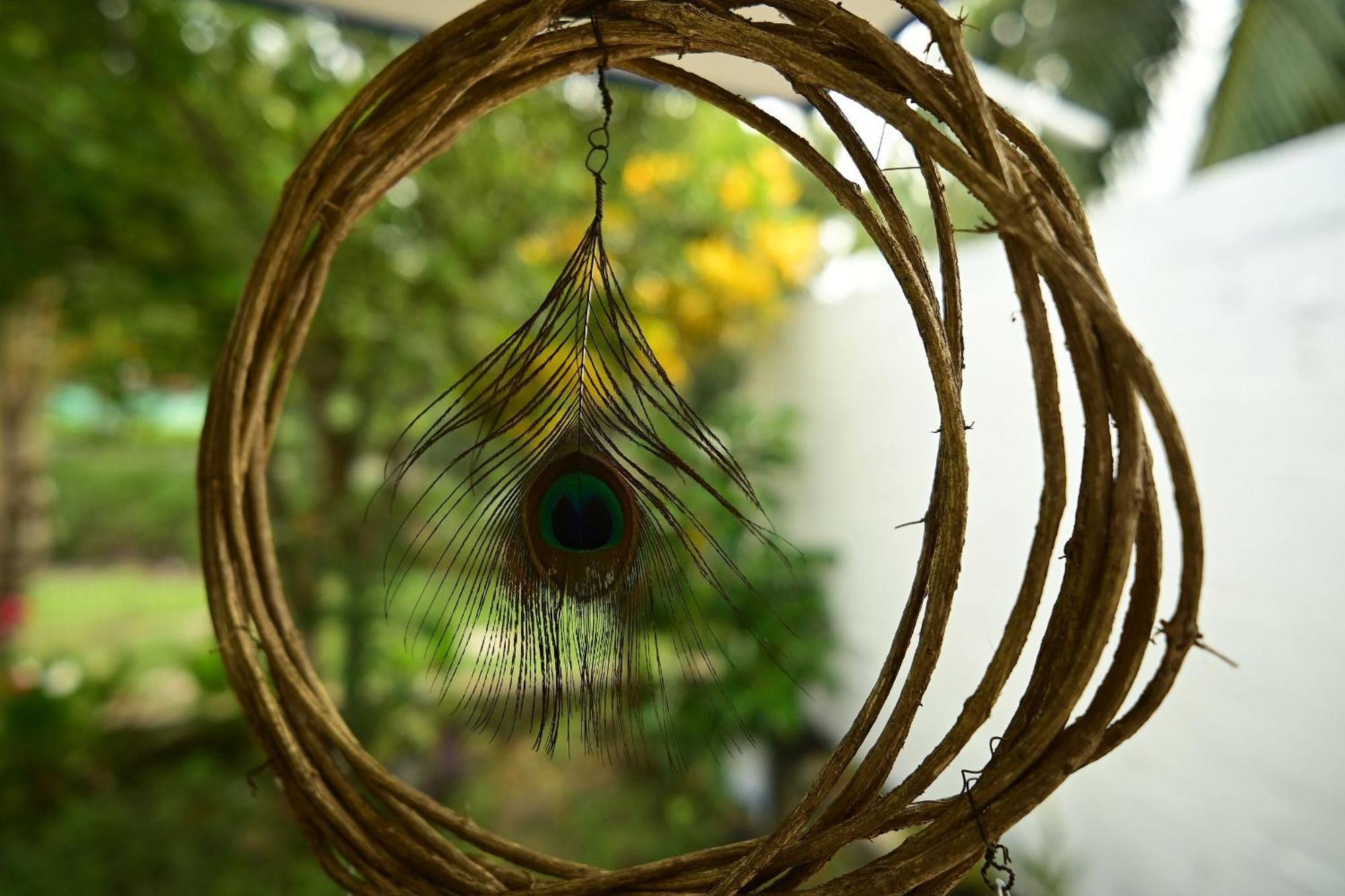 Nido Wellness Center * Bacalar