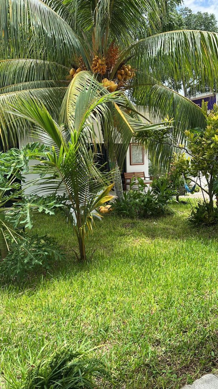 King's Tuuch - Cerca De La Laguna