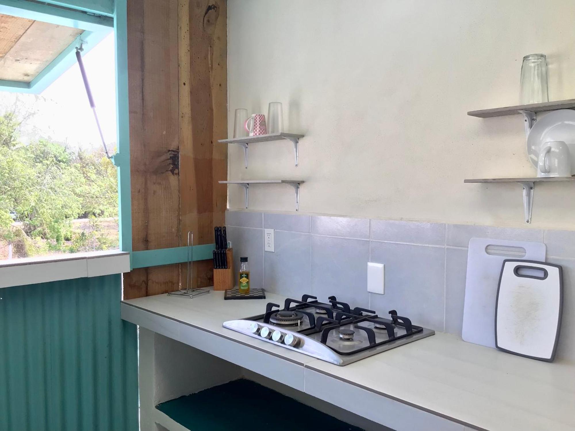 Departamento Fresco Y Caribeno Con Piscina Compartida. Apartamento