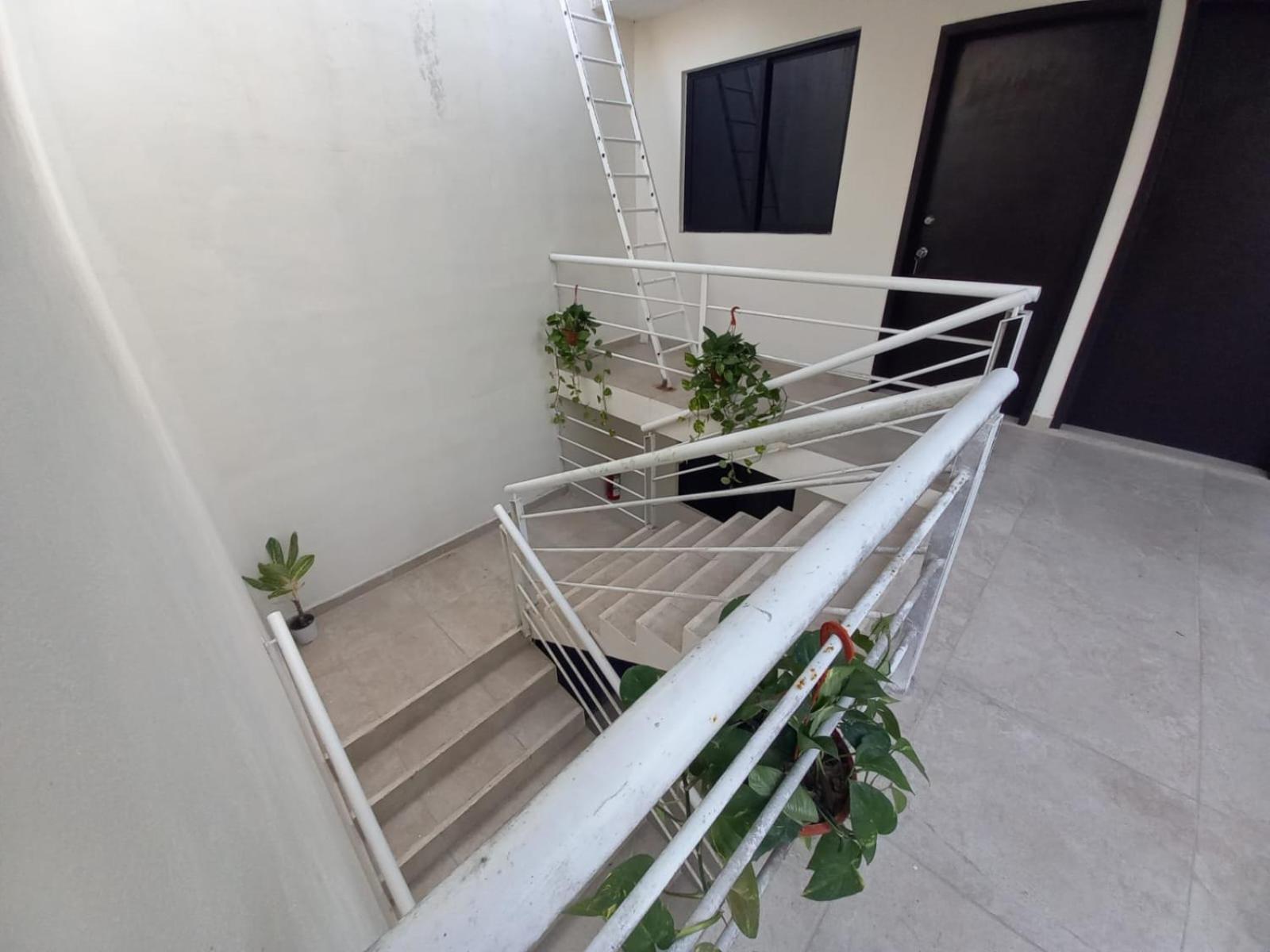 Hotel Luna Turquesa - Free Bikes And Paddle Bacalar