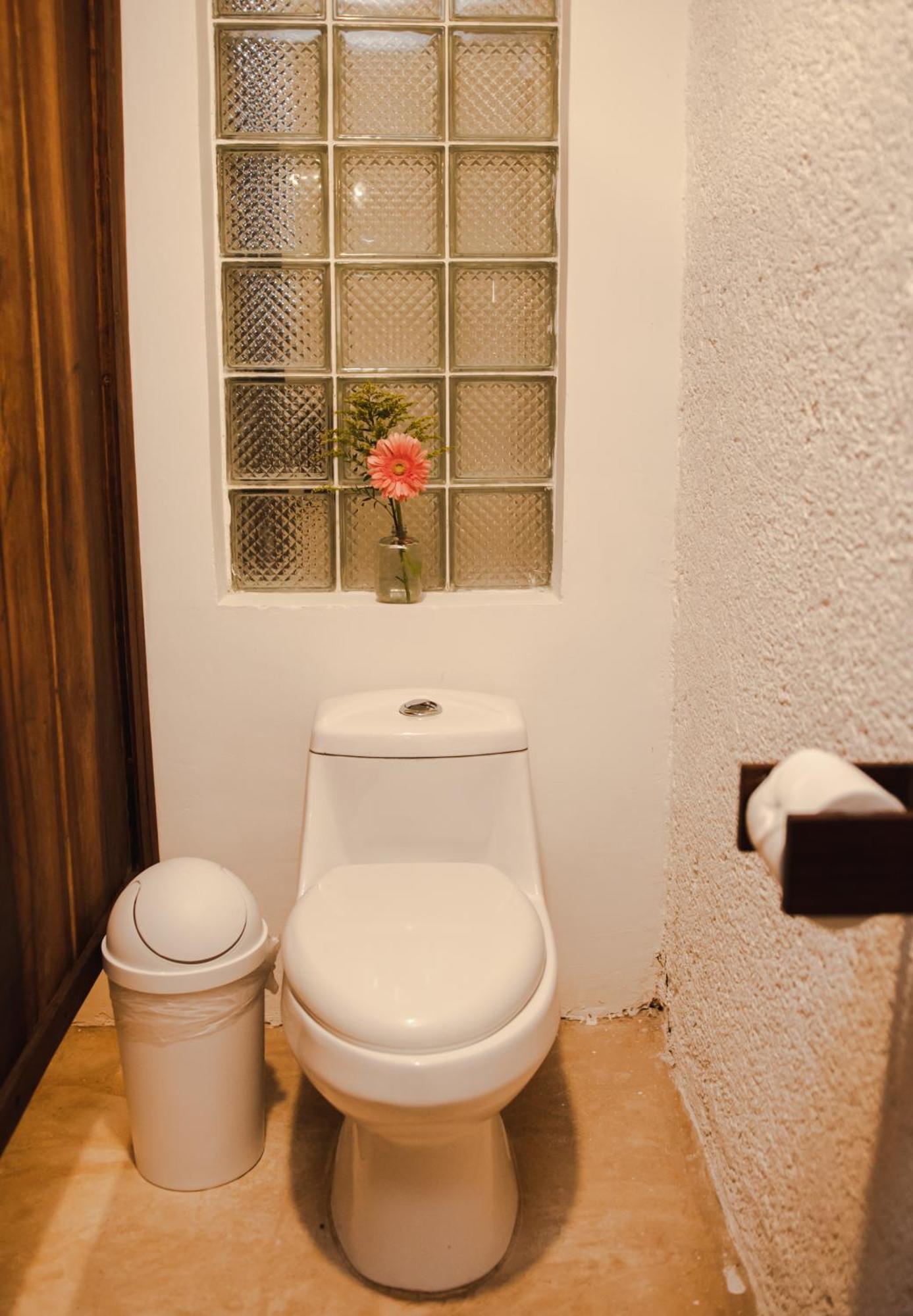 Bed & Breakfast Selva Maya