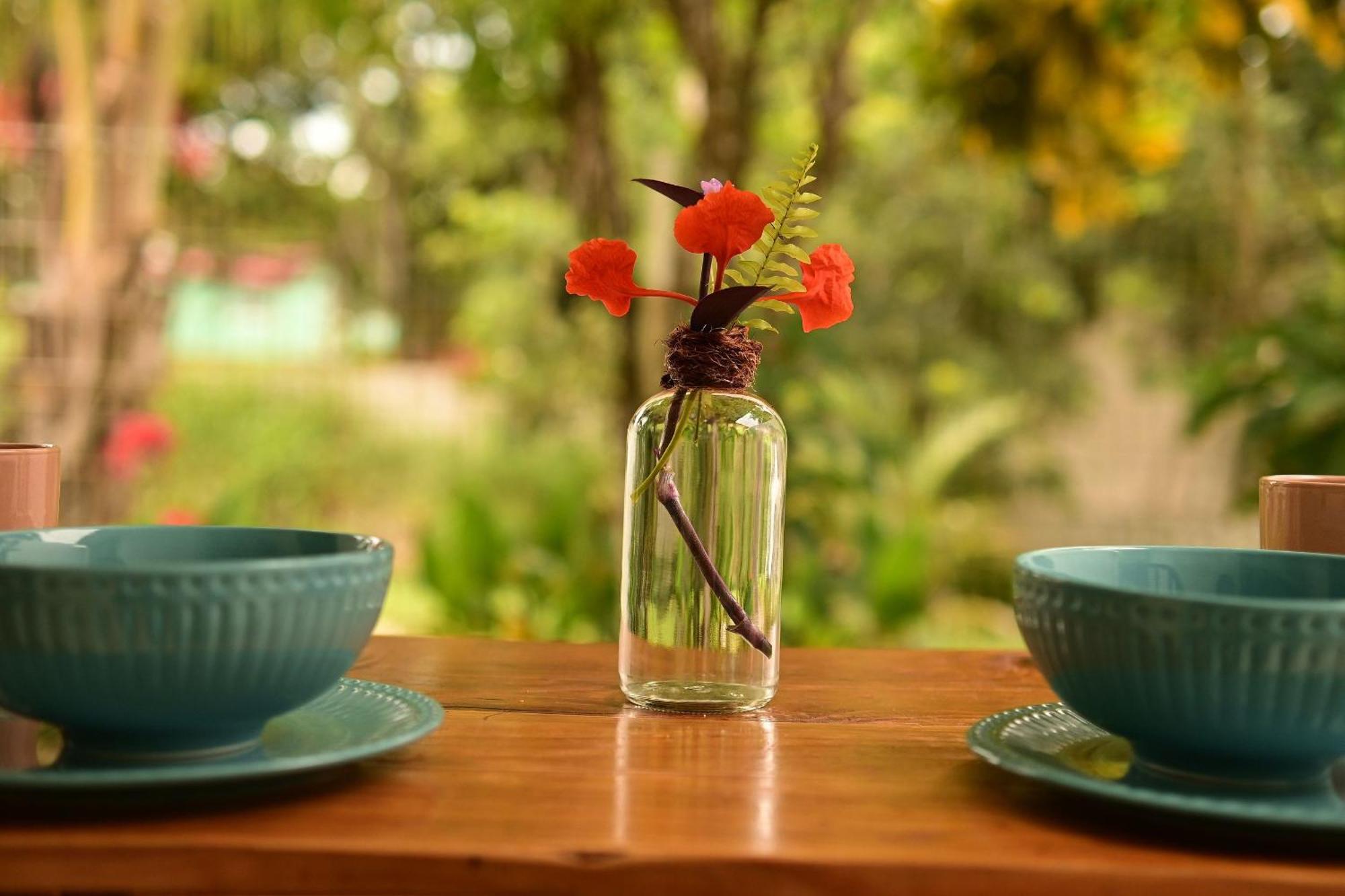Nido Wellness Center Resort Bacalar