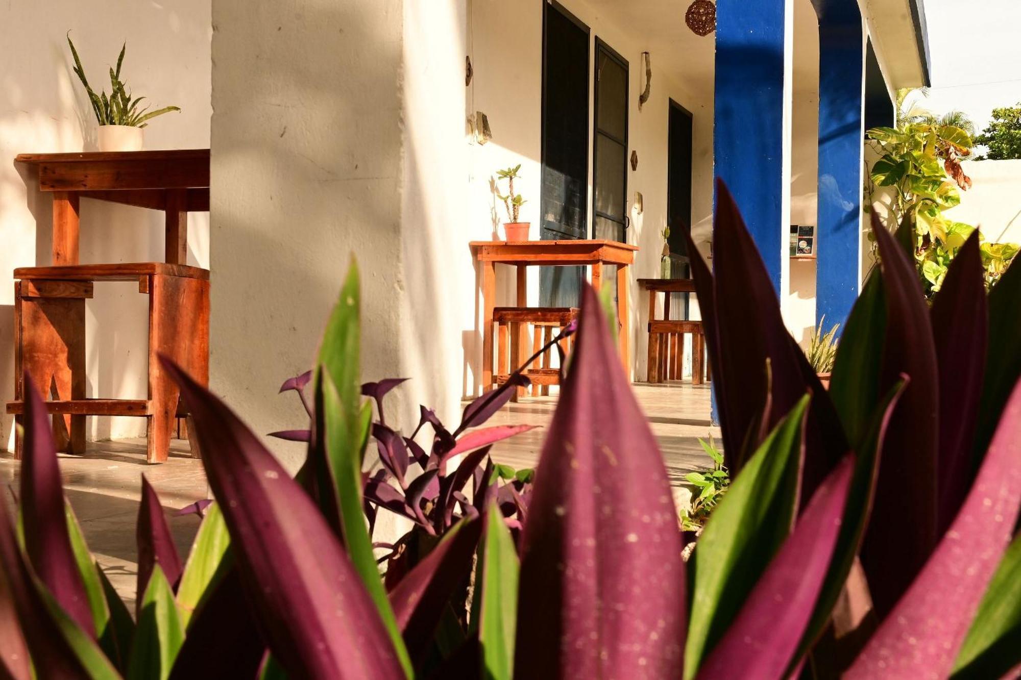Resort Nido Wellness Center