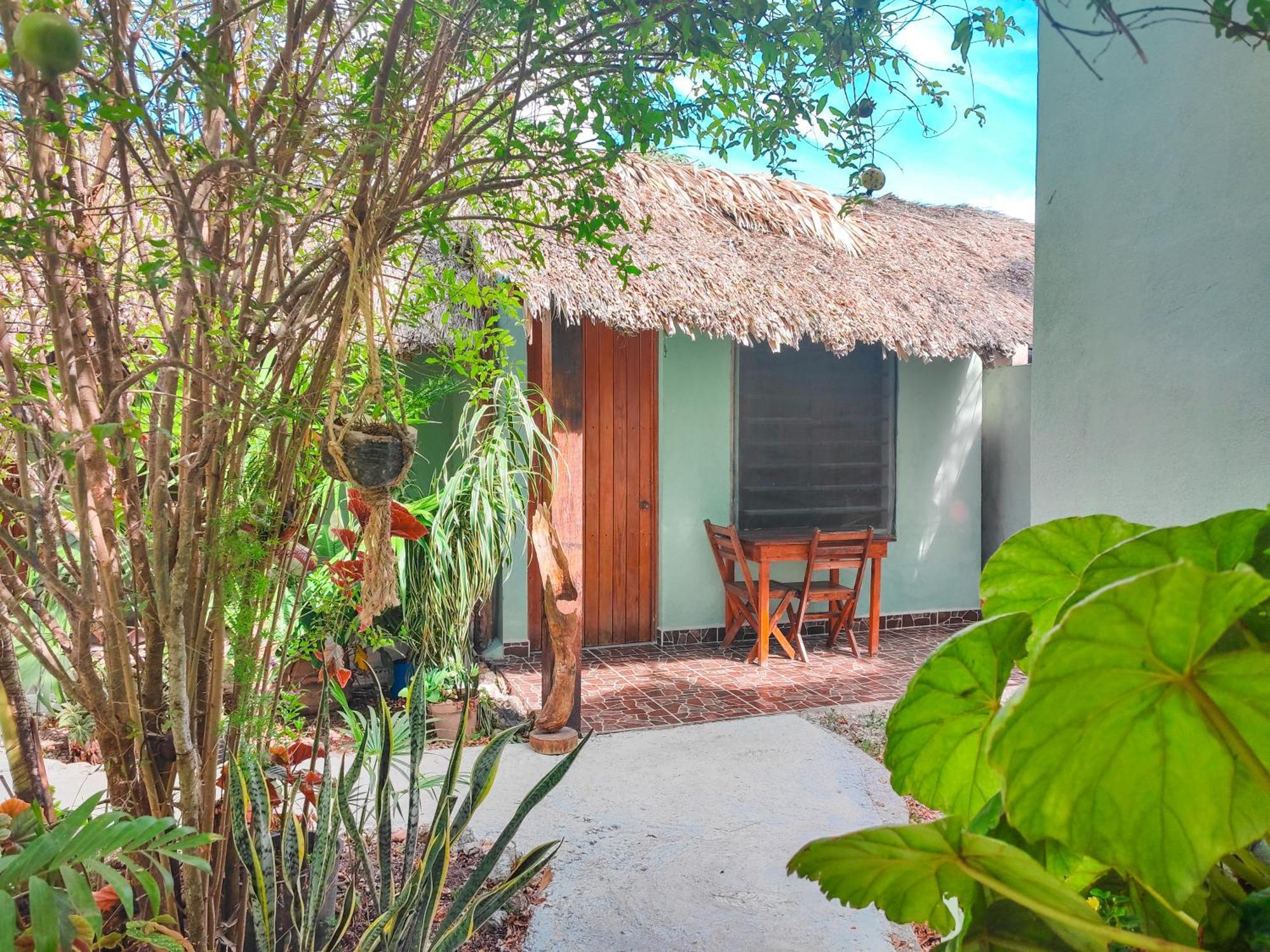 Palmas Bacalar