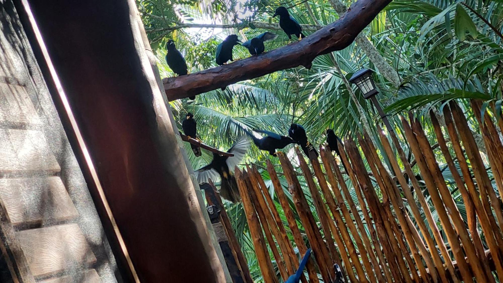 Сasa de vacaciones Atmosfera Maya Bacalar