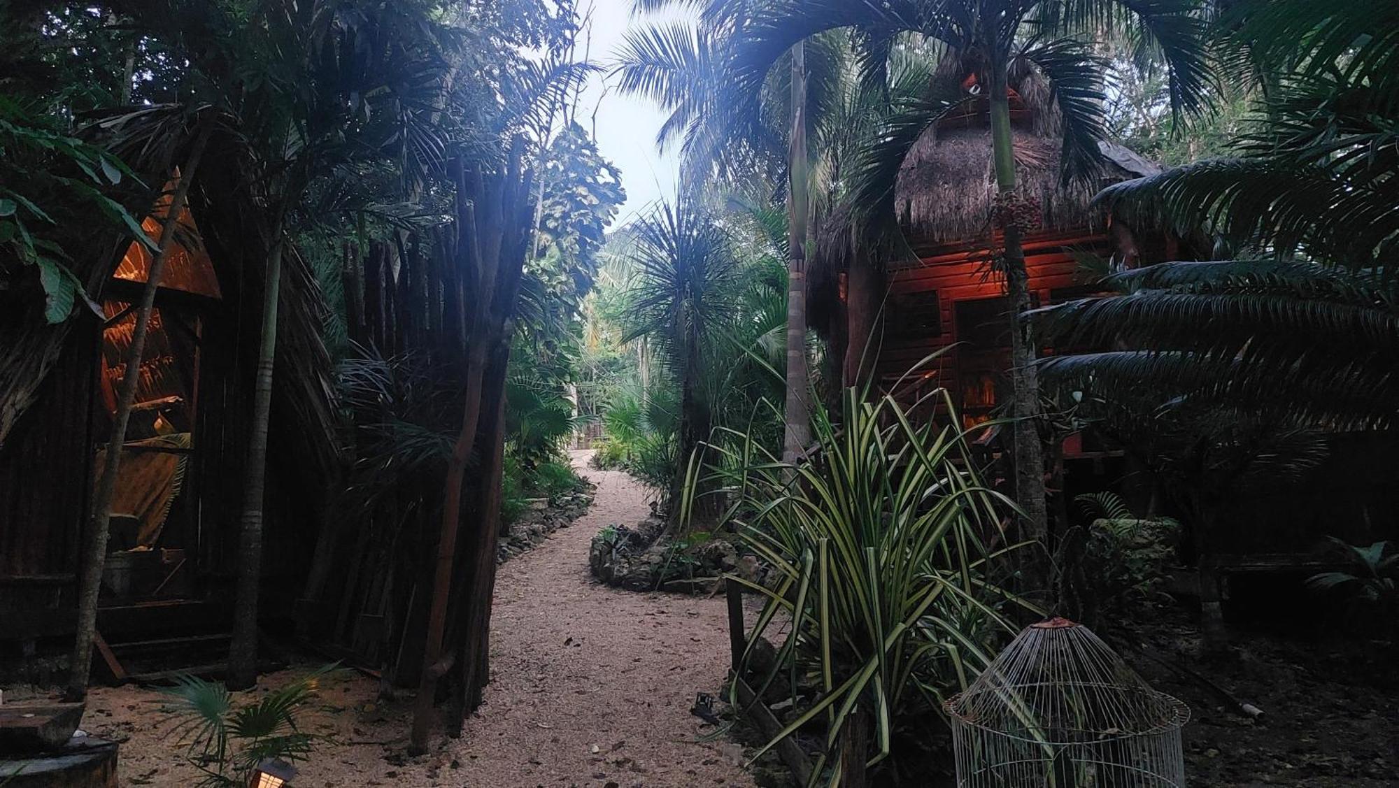 Atmosfera Maya *