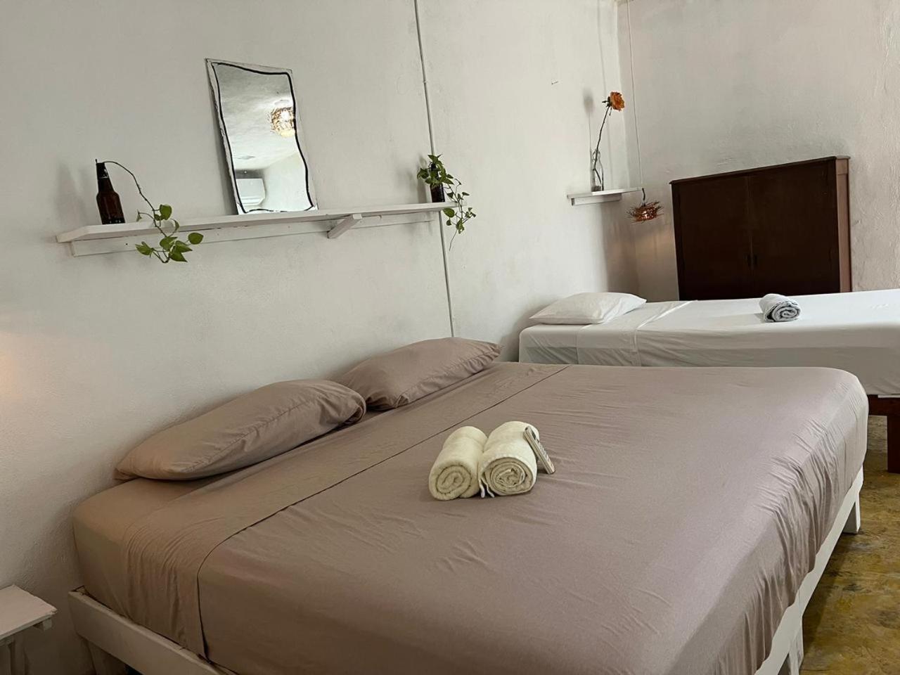 Hotel Selva Y Arte - Gratis Renta Bicicletas Y Kayyaks Bacalar