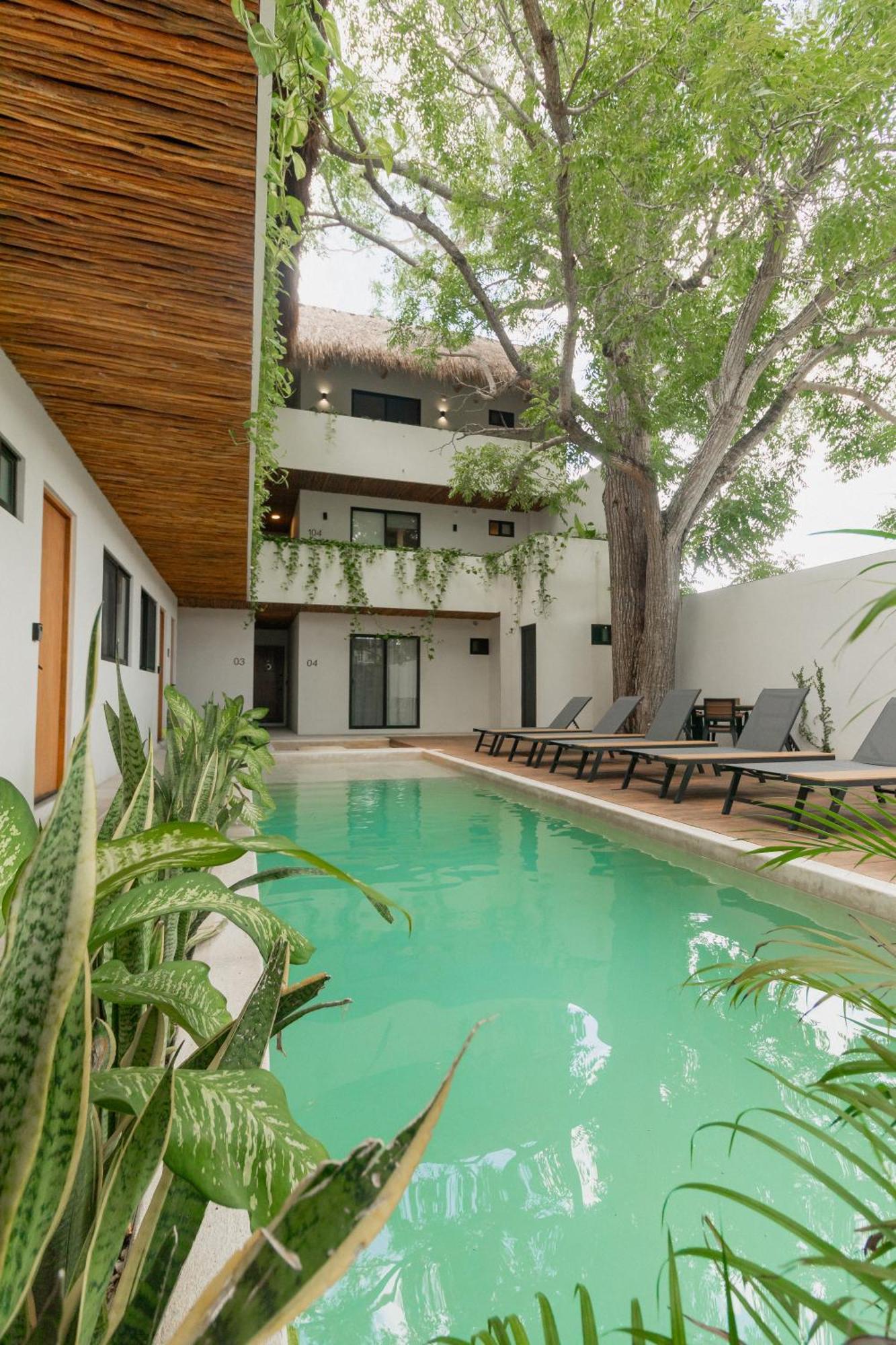 Cozy With Pool In Center Apartamento Bacalar
