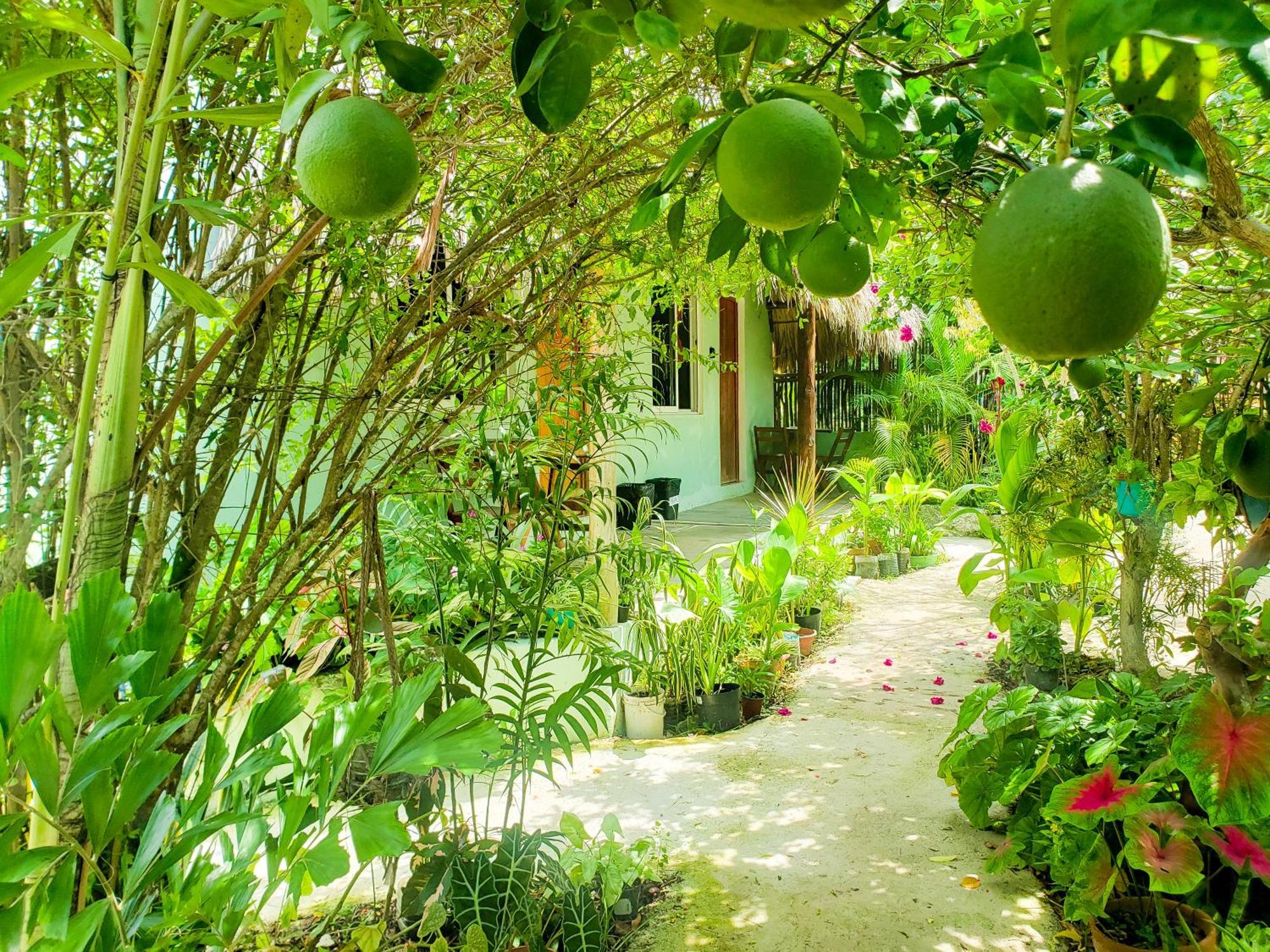 Palmas Hotel Bacalar