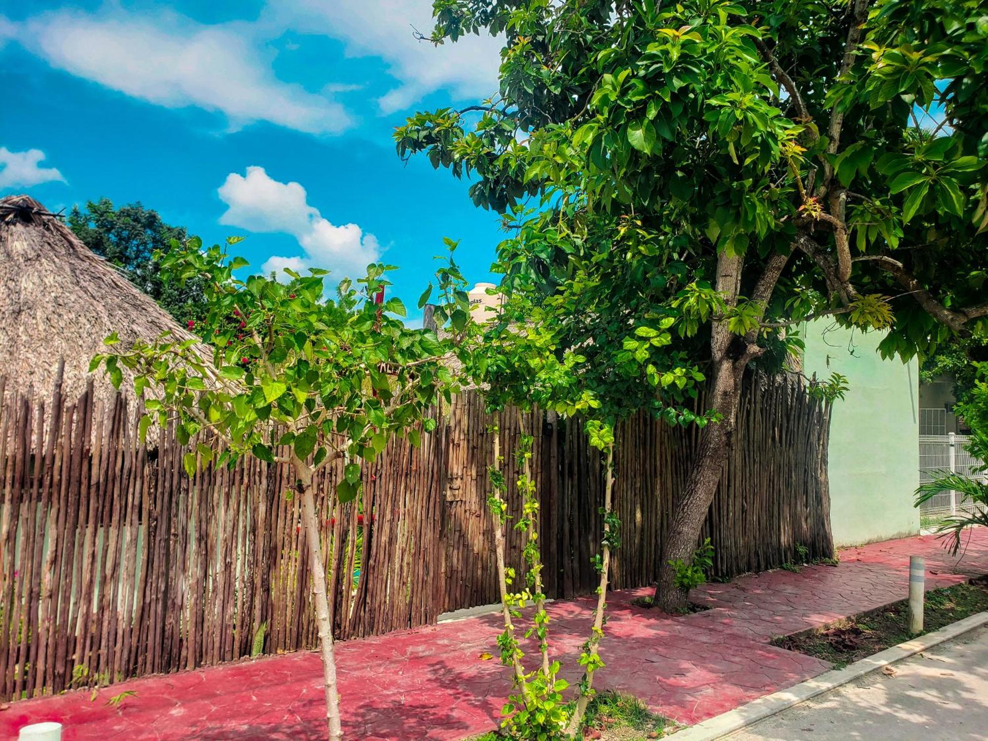 Hotel Palmas Bacalar
