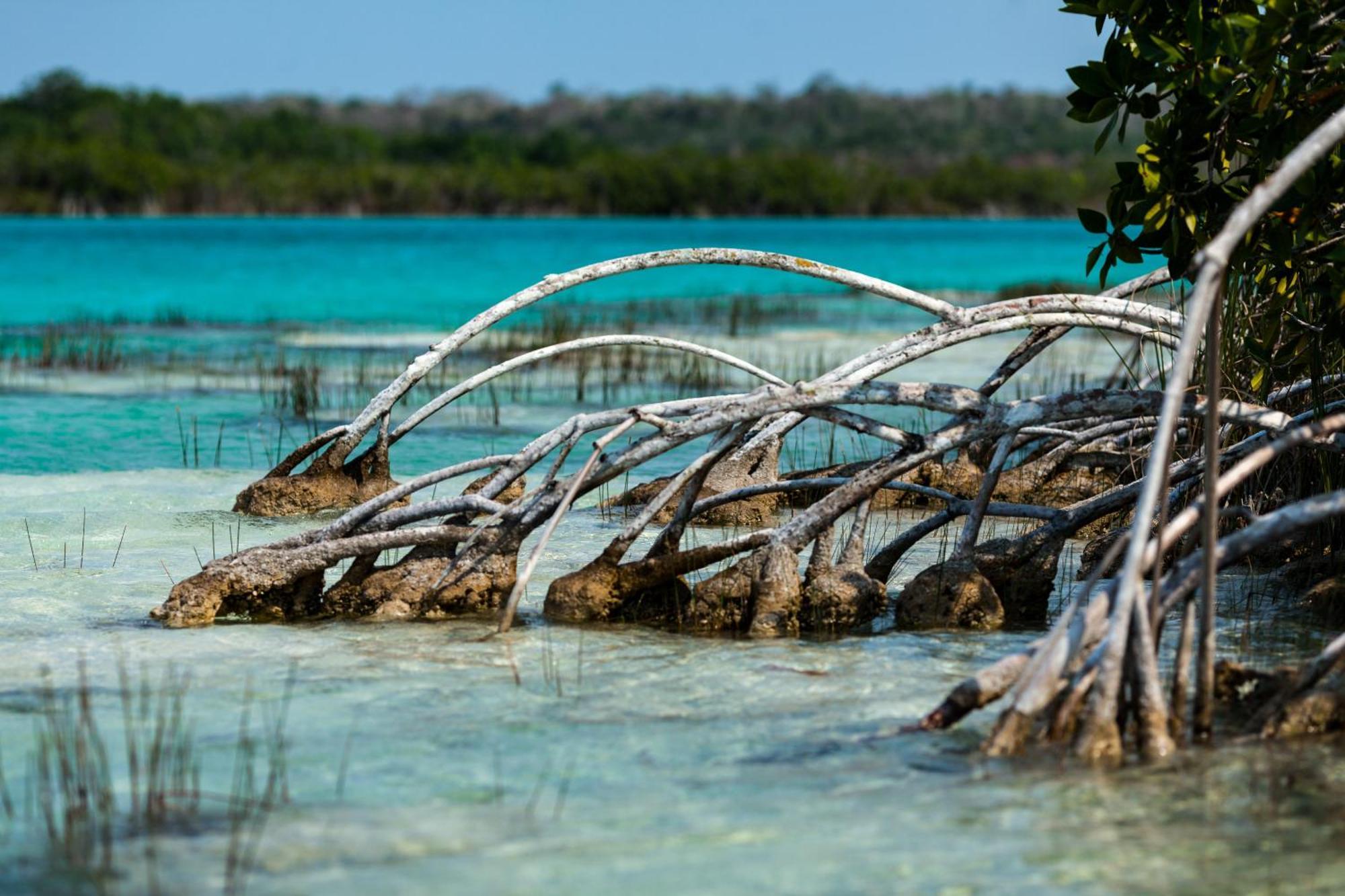 Chicana, Pool, Ac, Internet, Club Bacalar