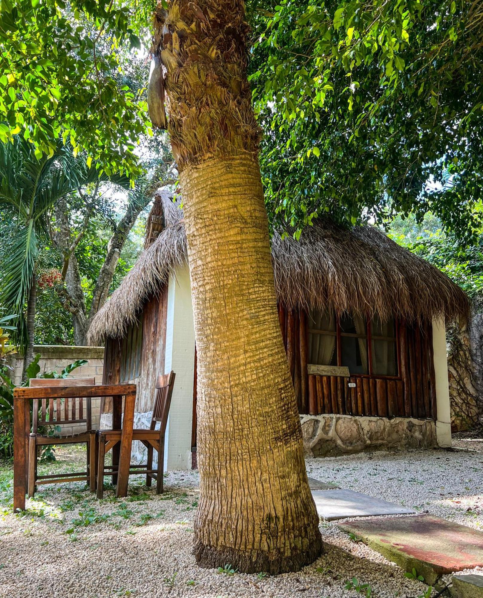 Hotel Sanctuary Mayan *