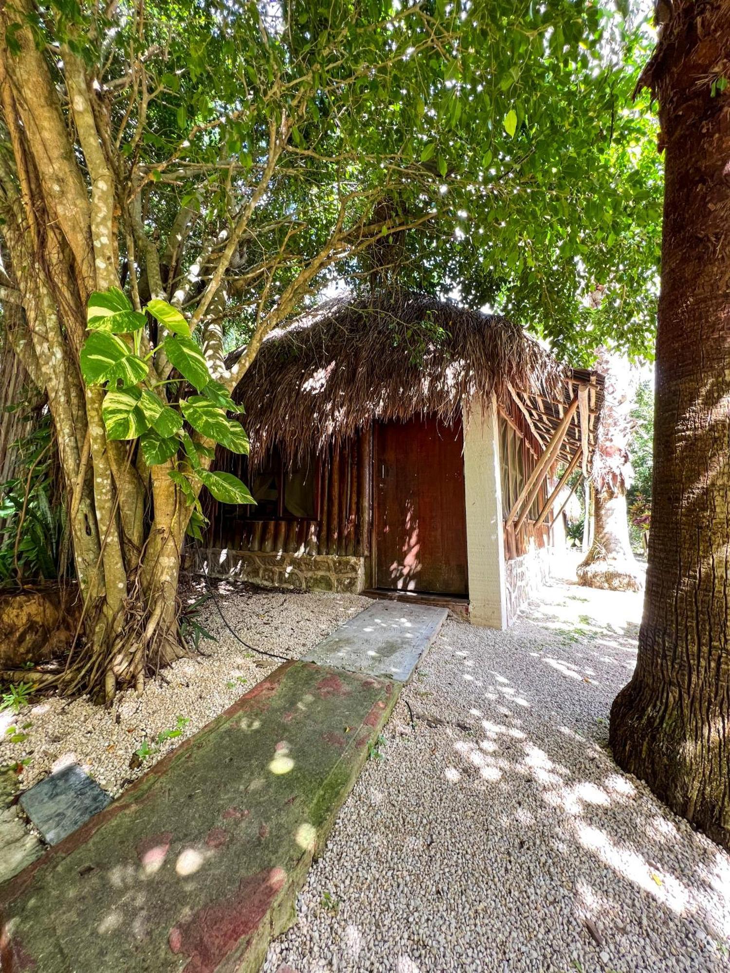 Sanctuary Mayan *