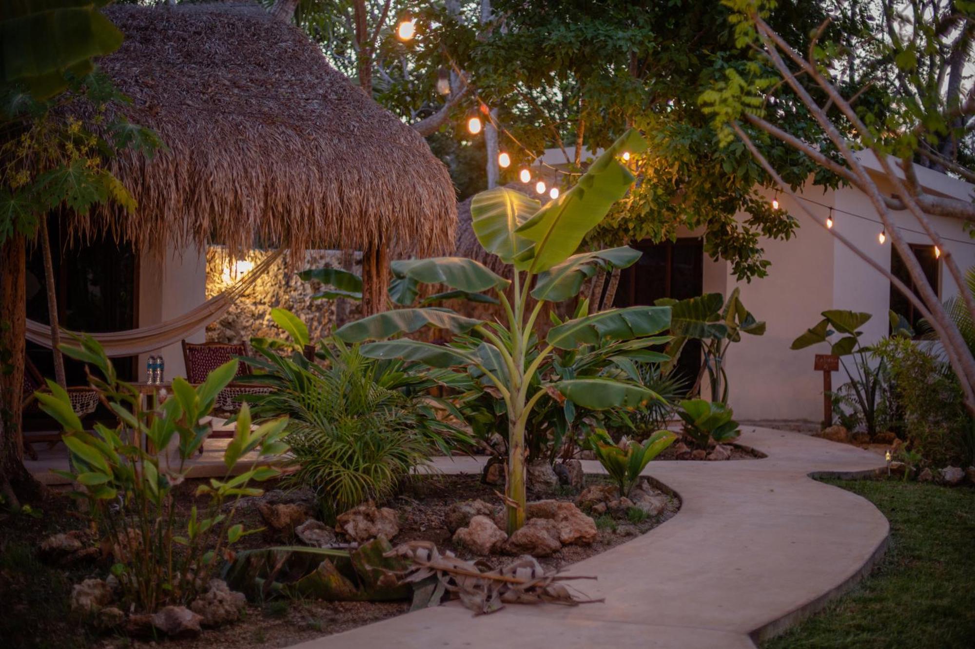 Casa Cactus Buenavista Lodge