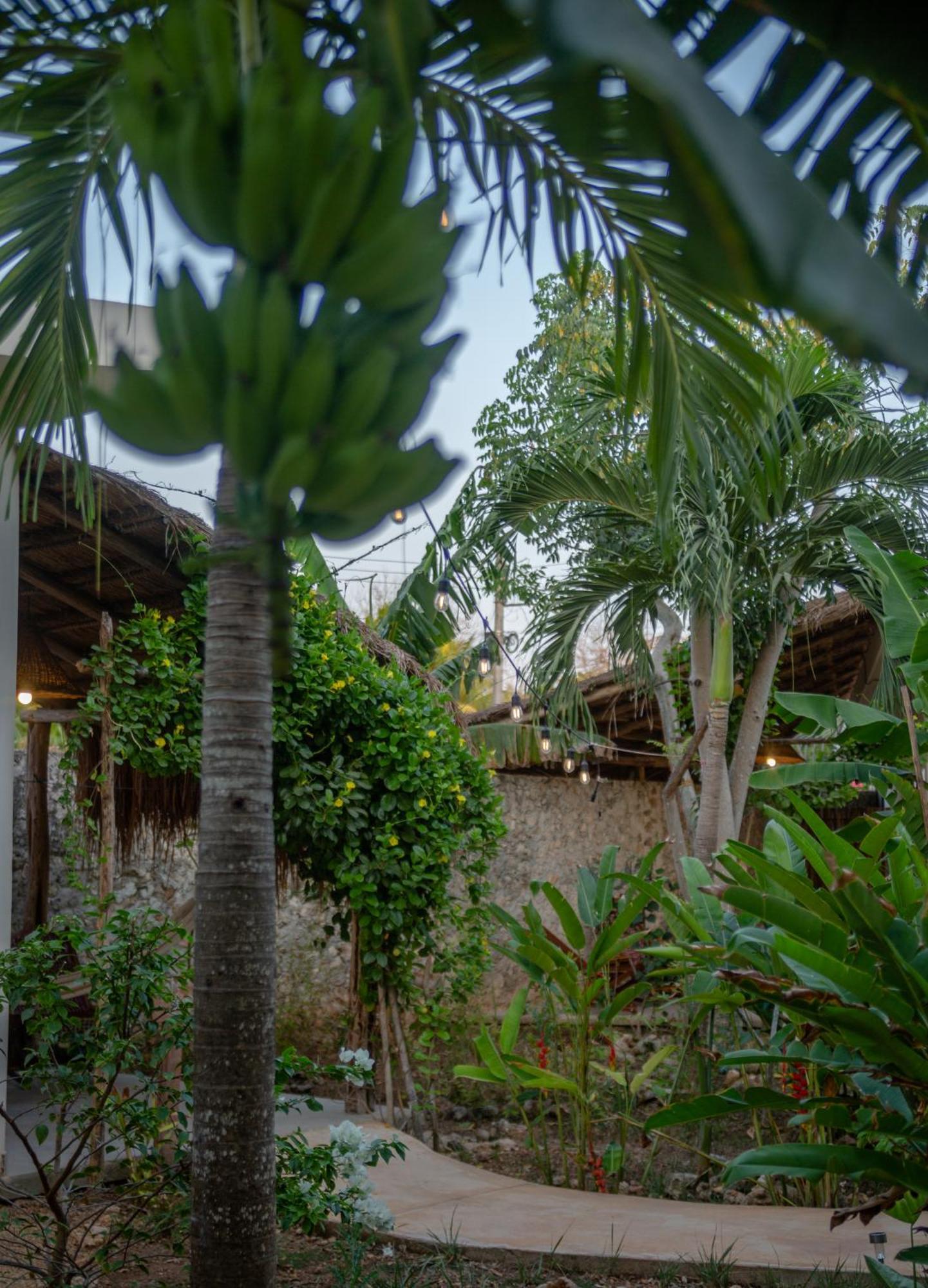 Casa Cactus Buenavista