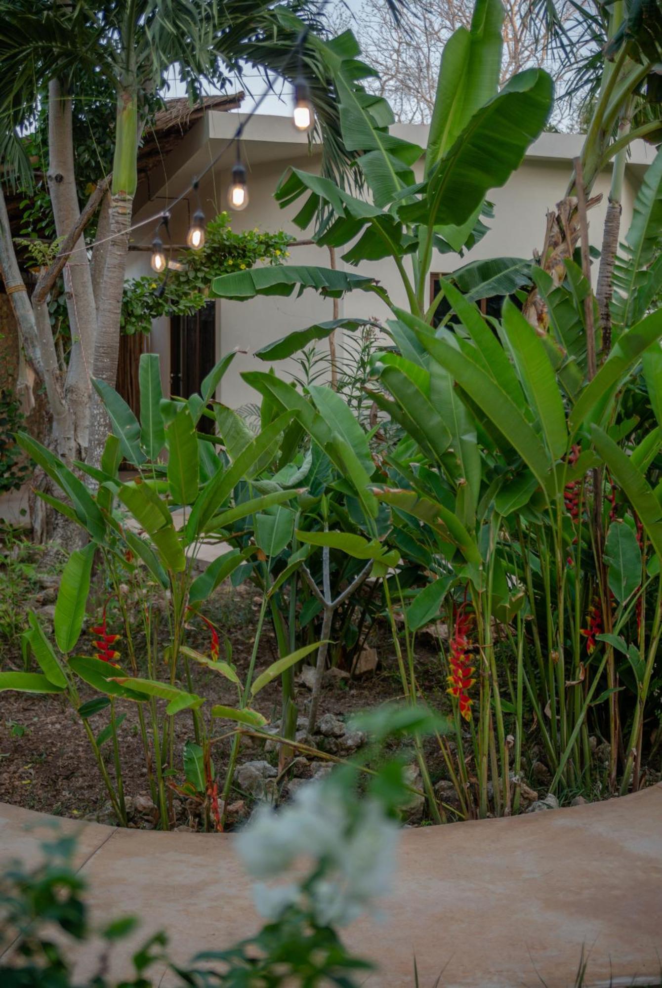 Casa Cactus Buenavista Lodge