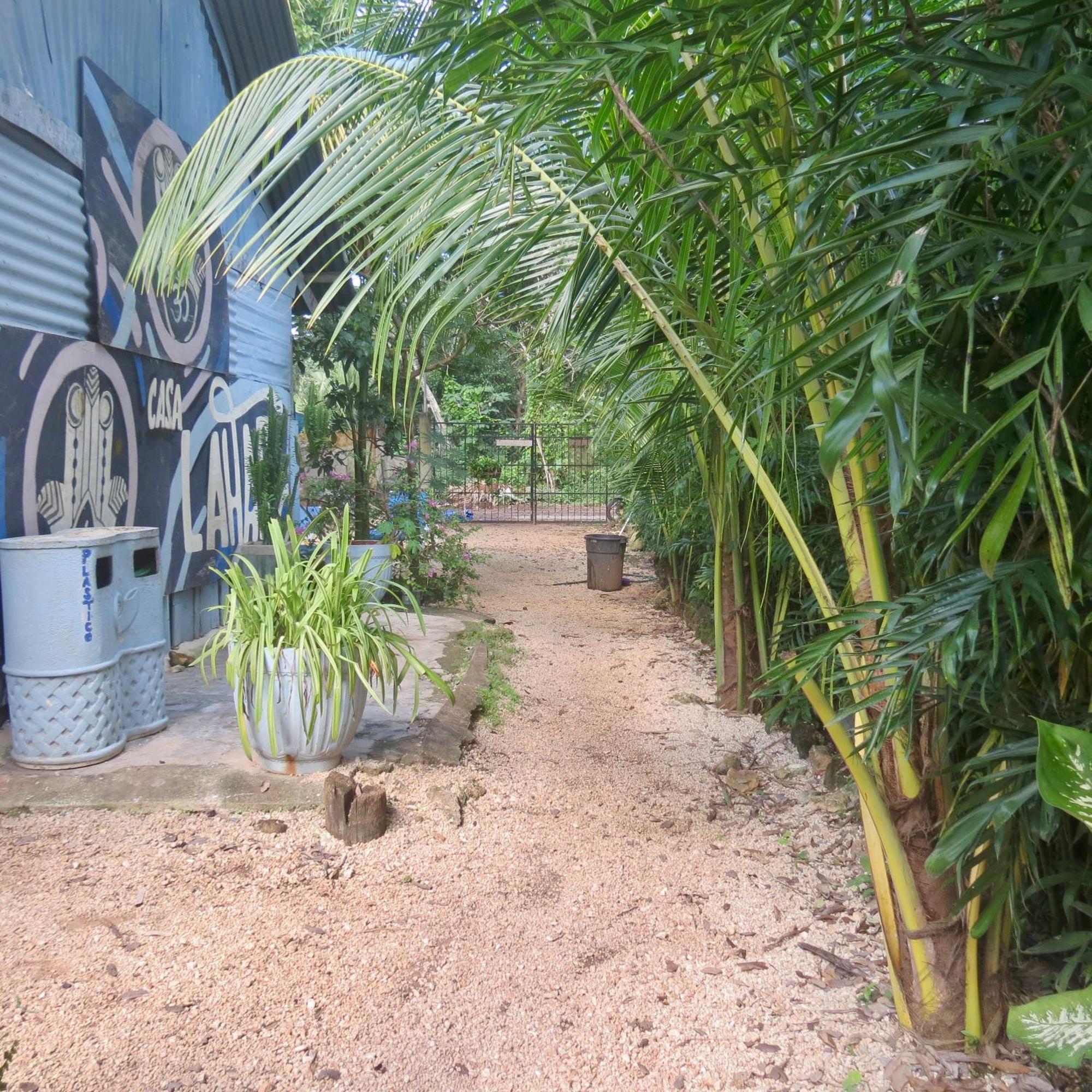 Hostal Hostalito Lahar Bacalar