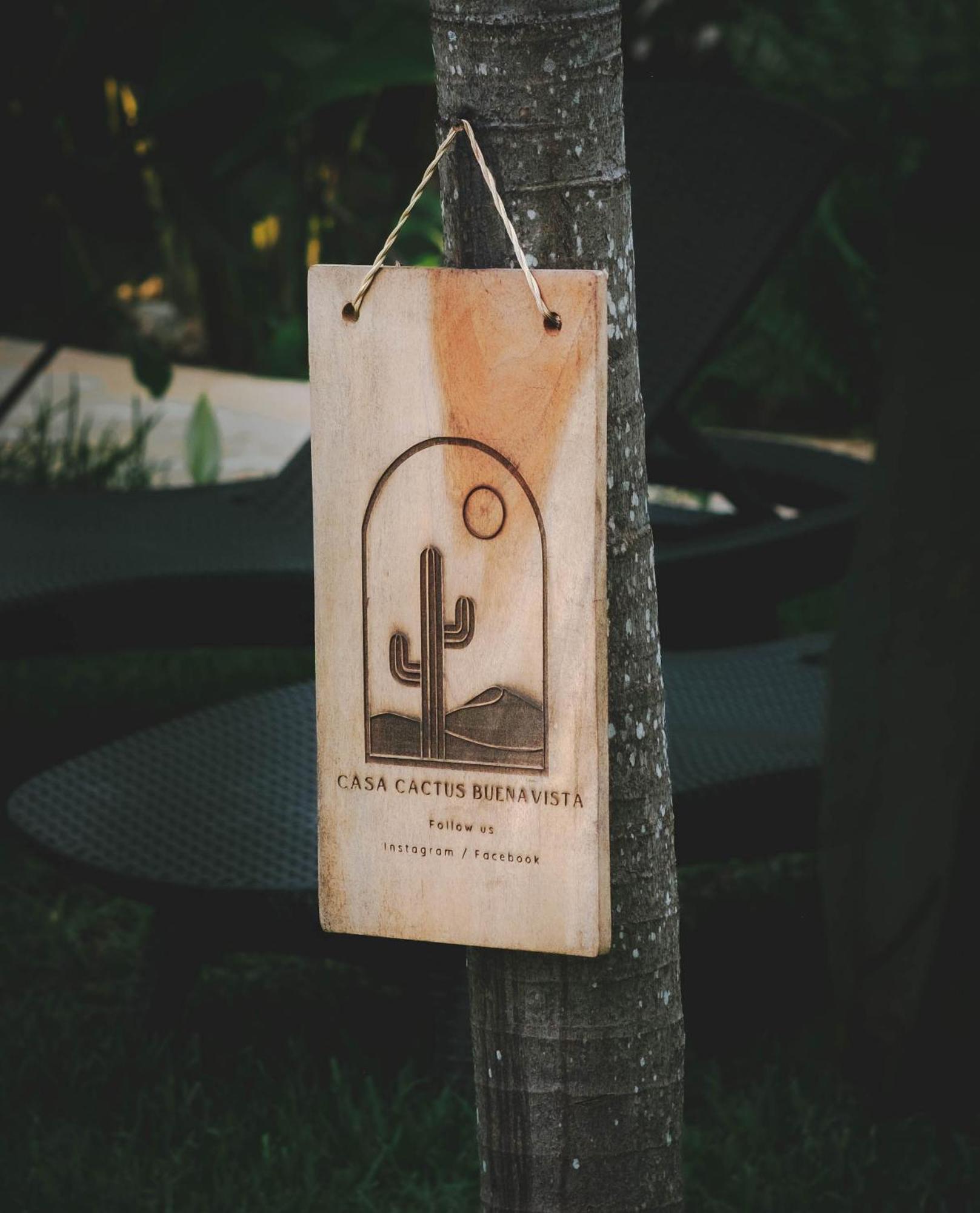 Casa Cactus Buenavista *
