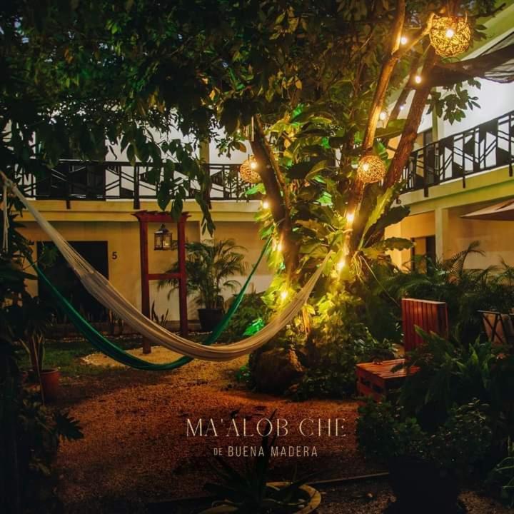 Maalob Che By Rotamundos Bacalar