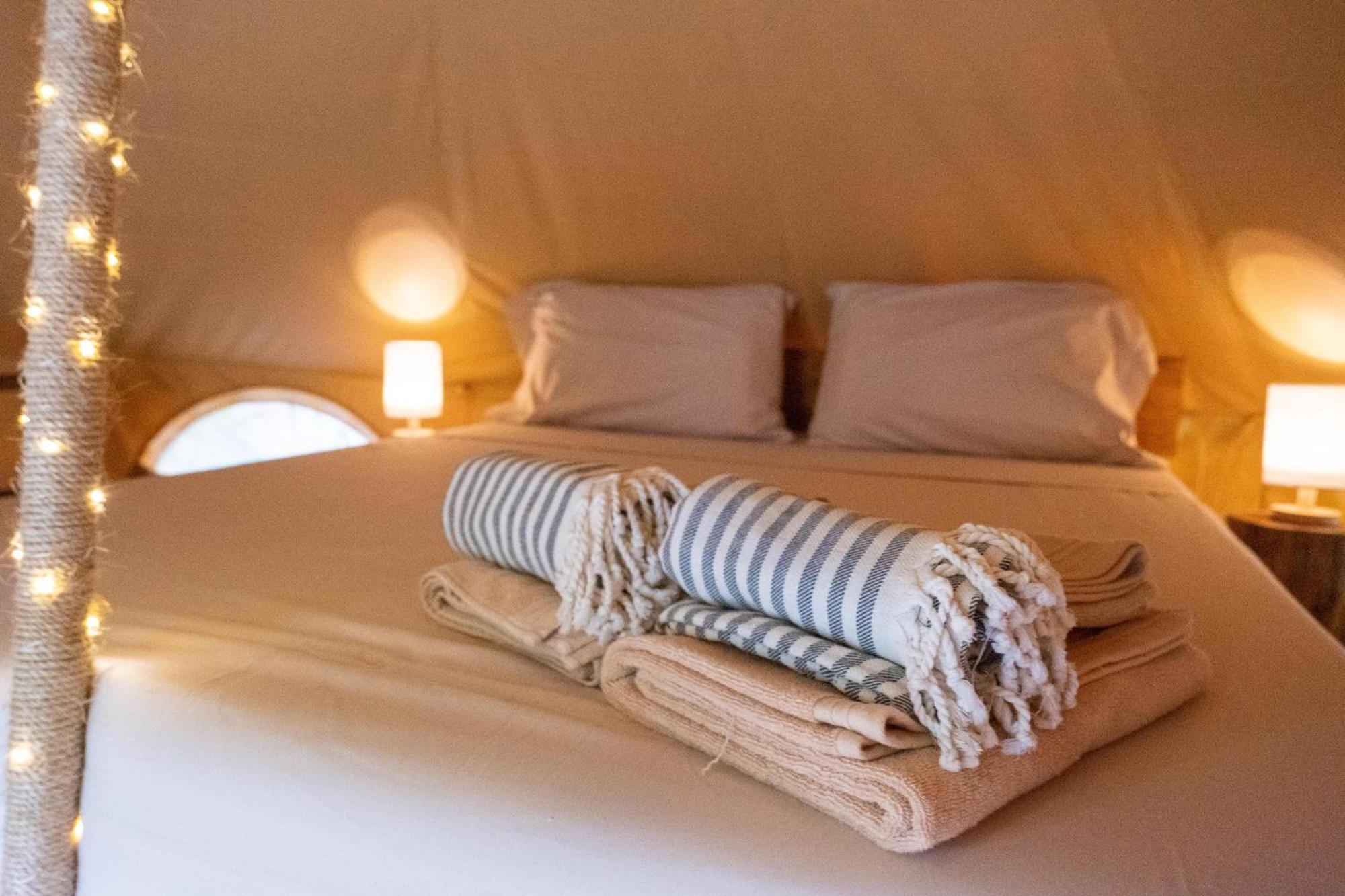 Shamalay - Nomad Experience