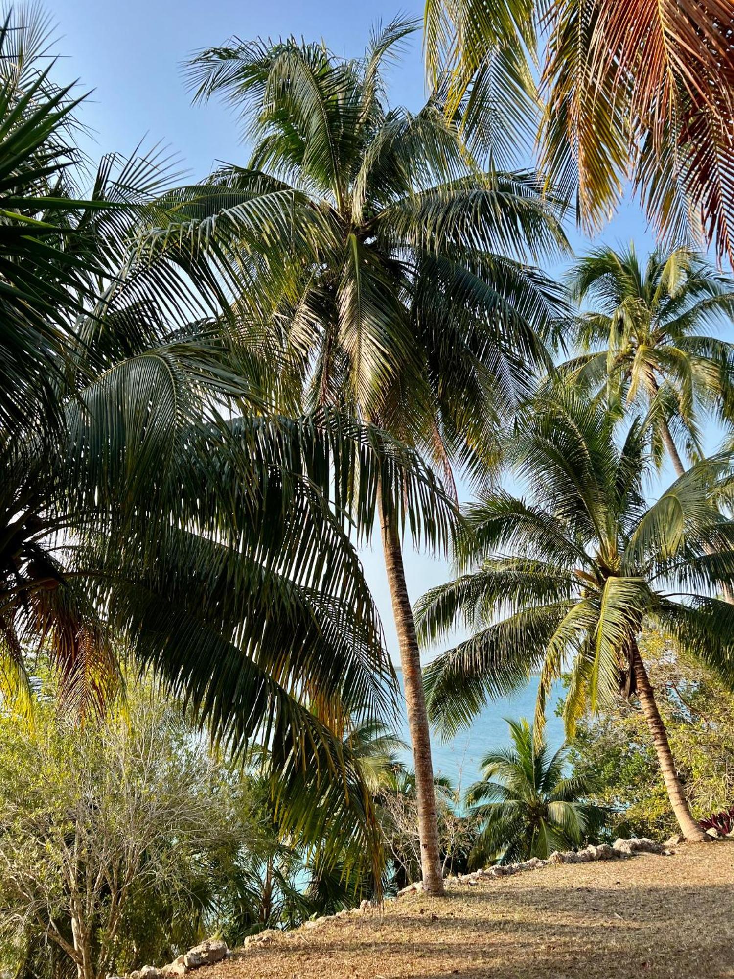 Samadhi Bacalar
