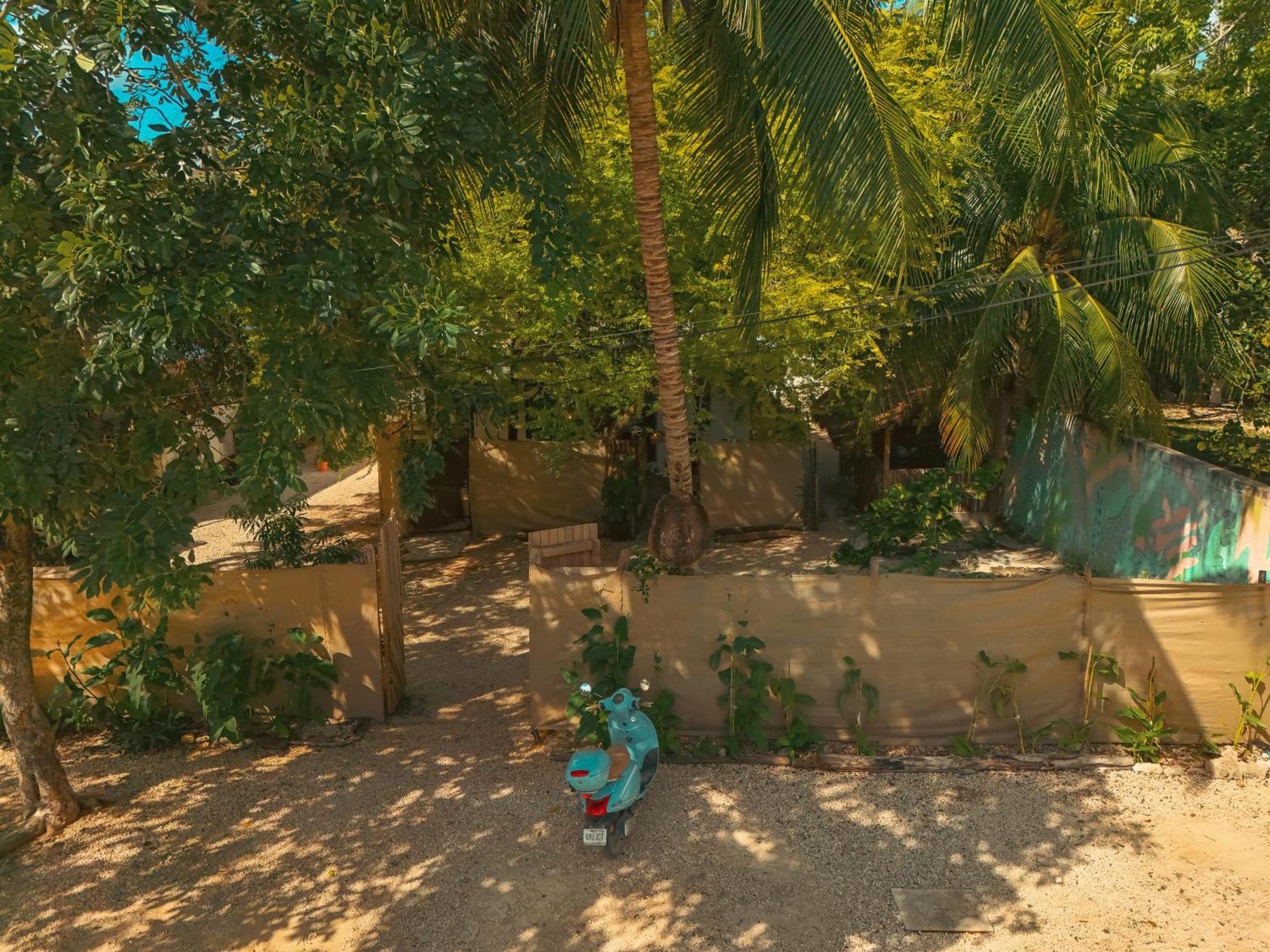 Hotel Casa Arte Garden - Free Bikes 3*