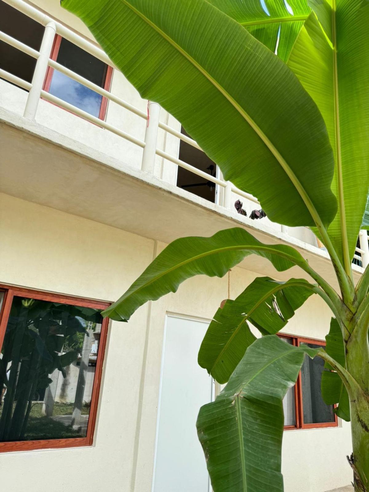 Casa Mora Bacalar