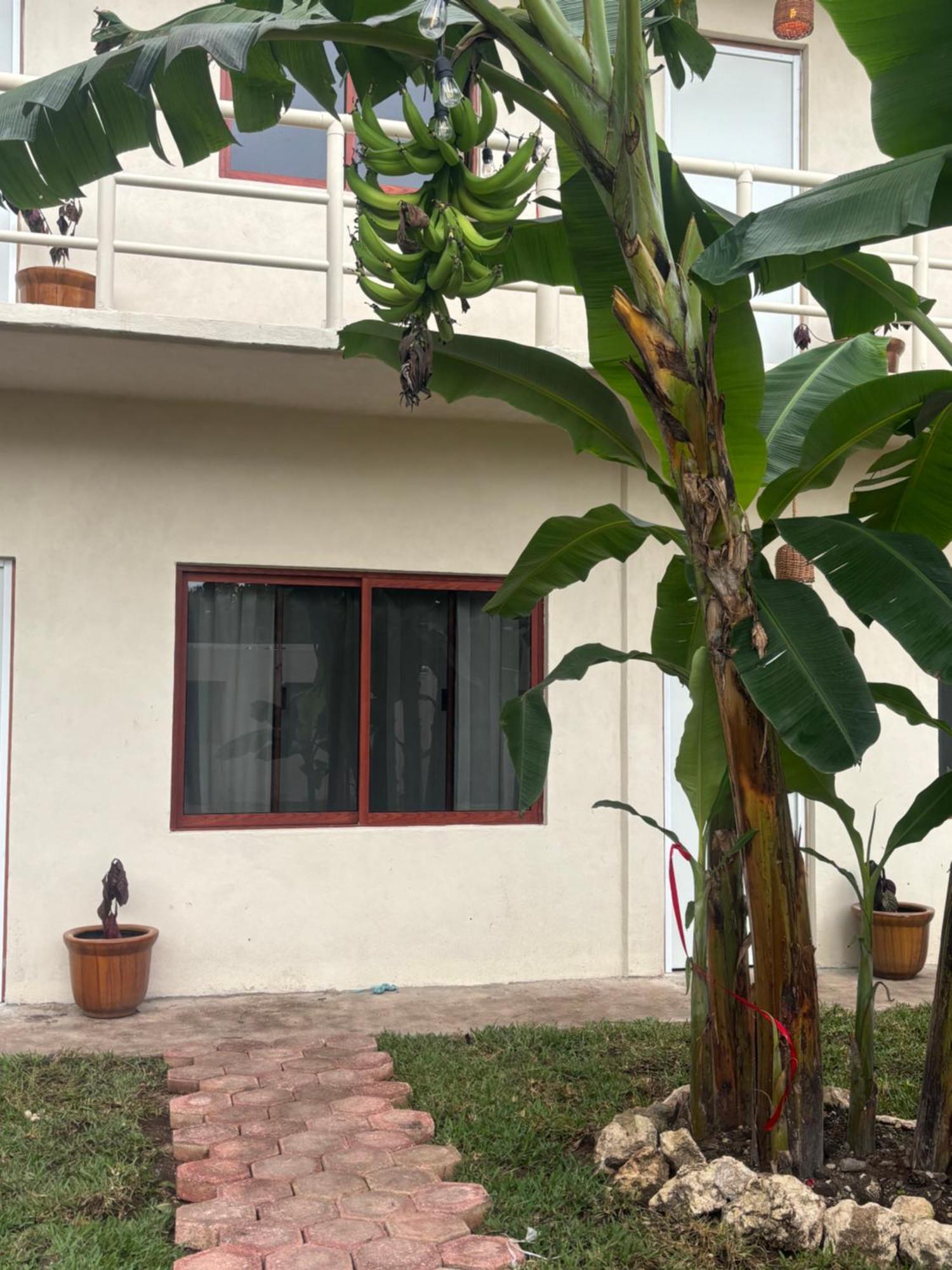 Bed and breakfast Casa Mora