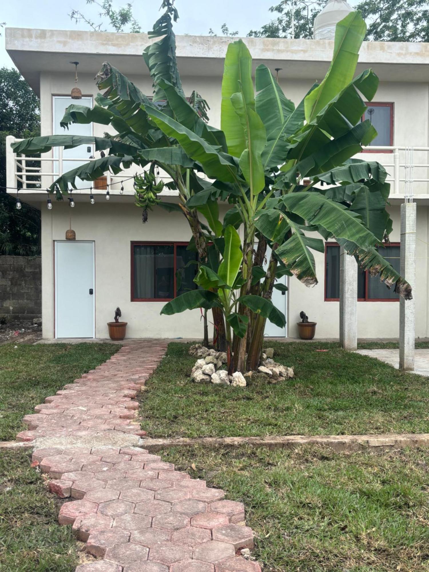 Casa Mora *