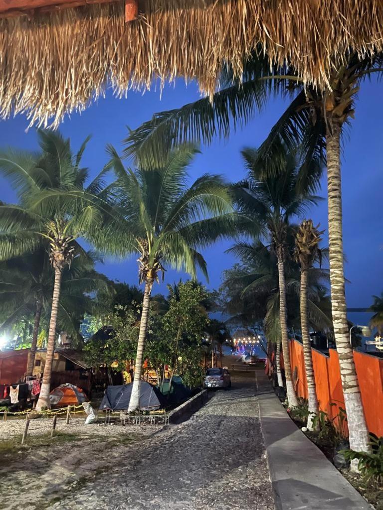 Hostelito Camping Bacalar Campo de lujo *